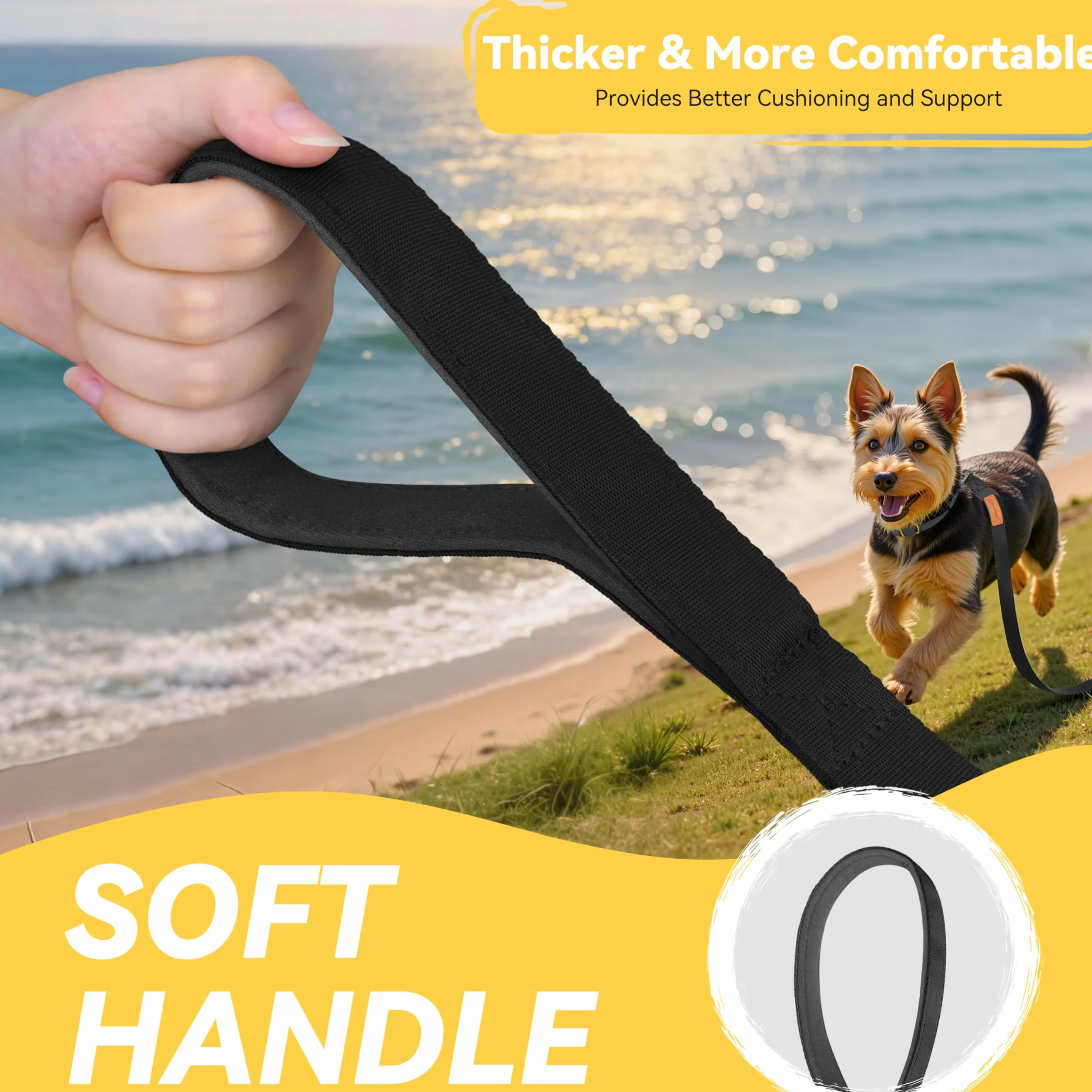 Longe pour Chien 3m 5m 10m 15m 20m 25m 30m Laisse de Dressage Robuste Poignée Rembourrée