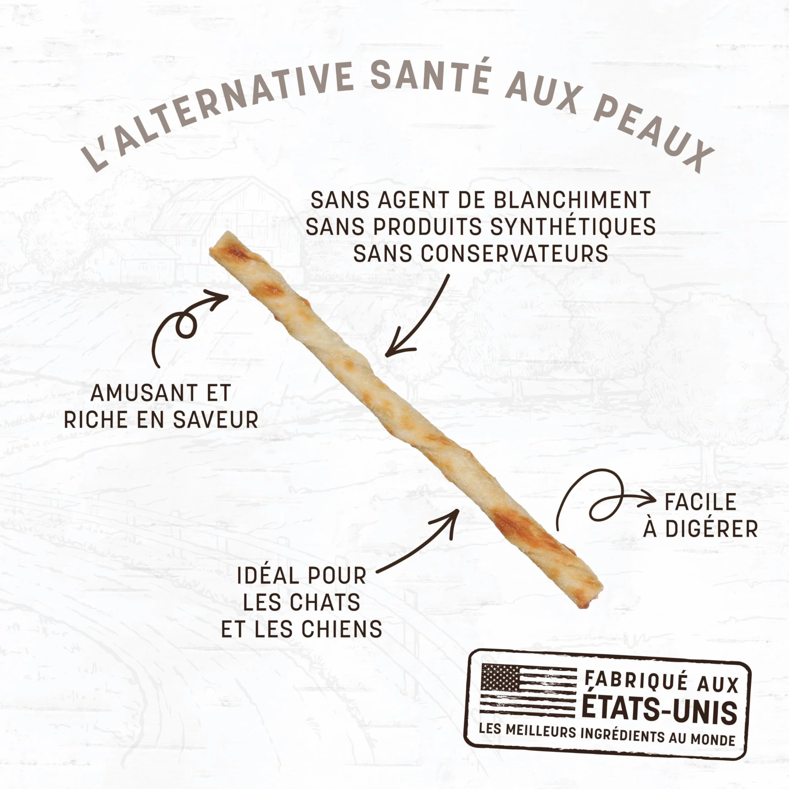 EARTH ANIMAL No Hide Stix Friandises Poulet Naturelles sans Cuir Brut Longue Durée Chiens Petite Race