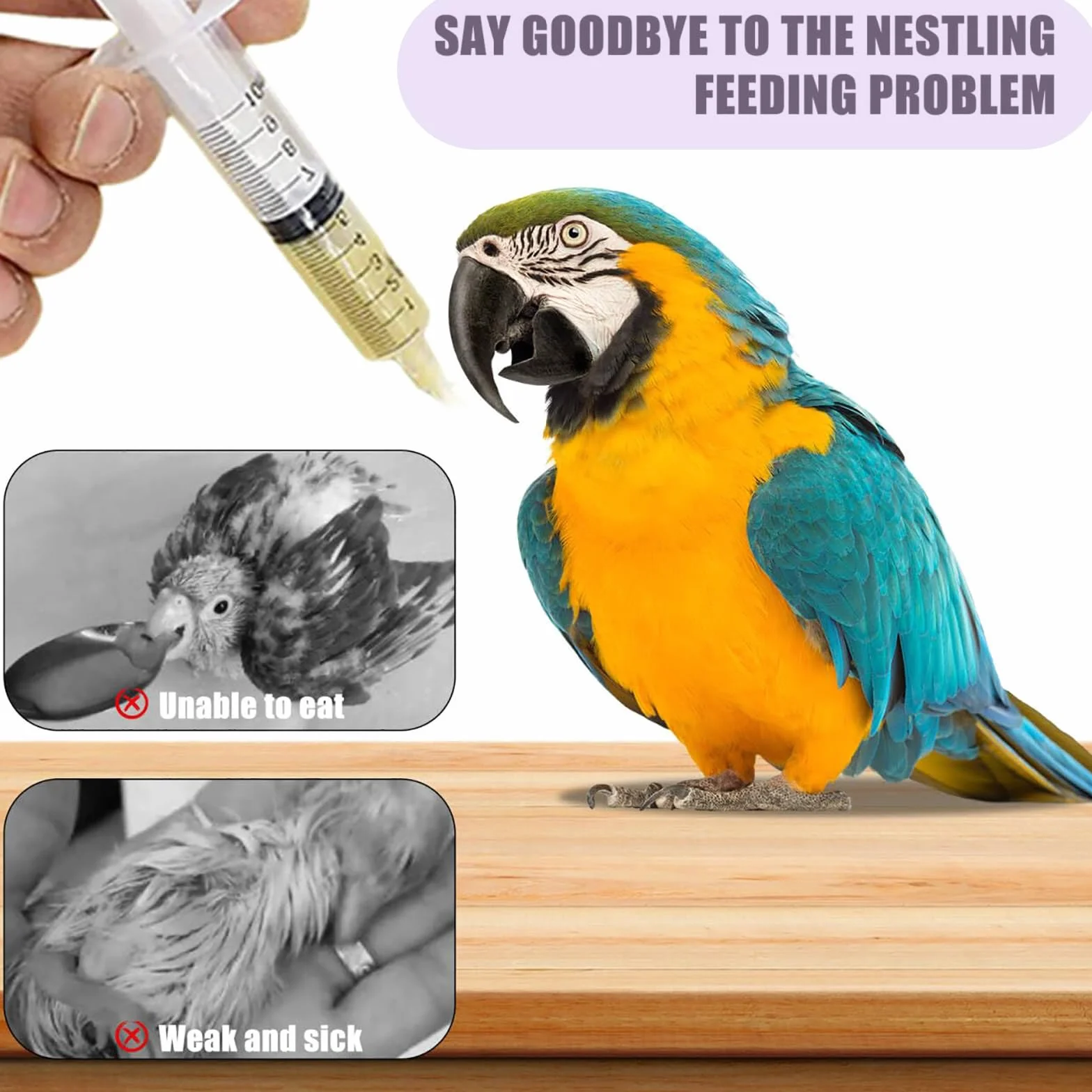 Kit Seringue Alimentaire 10ml avec 10 Tuyaux pour Oiseaux Pigeons Perruches