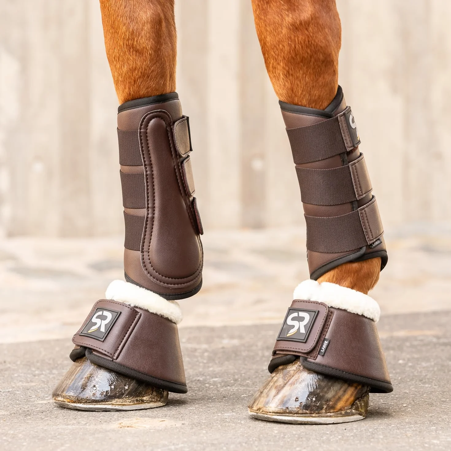 SUNRIDE guêtres de Dressage pour Chevaux Set de 2 Cuir véritable néoprène Protection blessures M 28 cm Marron