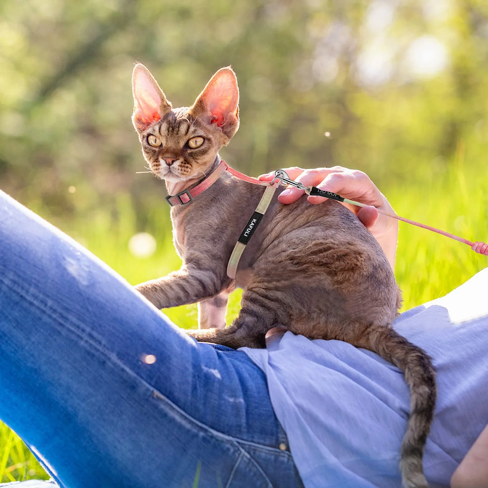 TIESOME Ensemble Harnais et Laisse pour Chat Anti-Fuite Réglable Orange