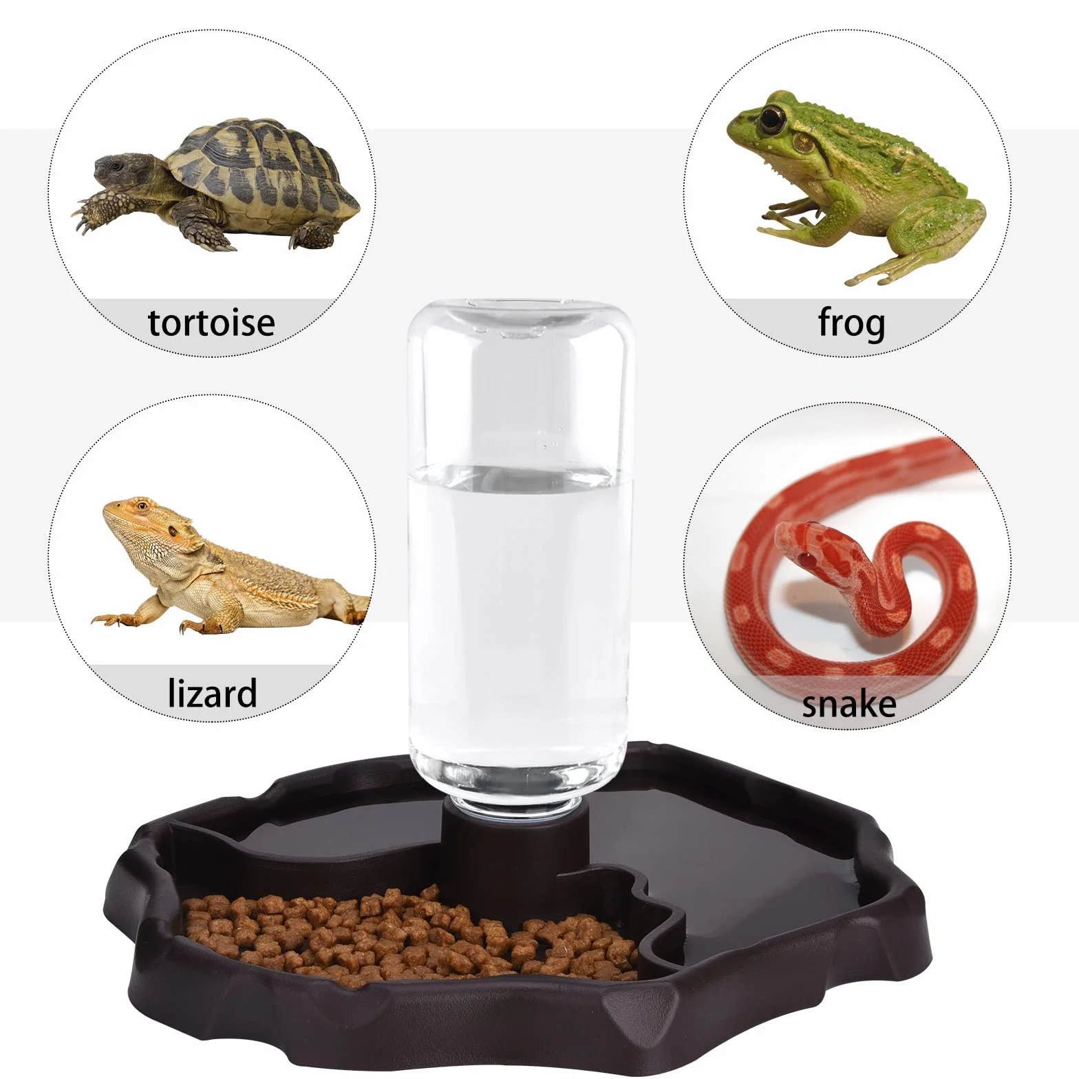 Distributeur d'eau pour Reptile Abreuvoir Tortue Mangeoire 2 en 1 Anti Débordement Plastique Brun