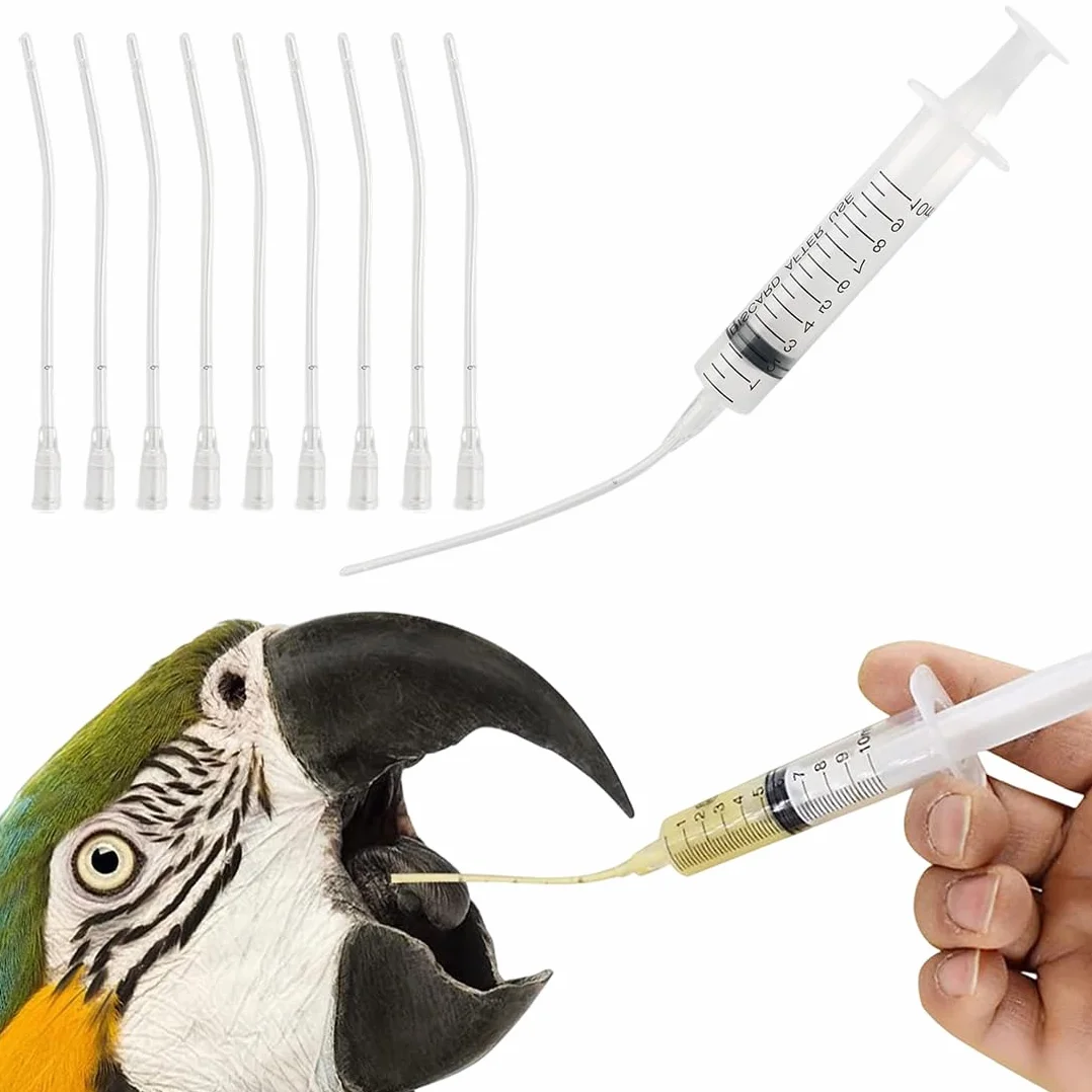 Seringue 10ml pour Nourrissage Bébé Oiseaux Perroquets, Tubes Souples Alimentation avec 10 Cathéters