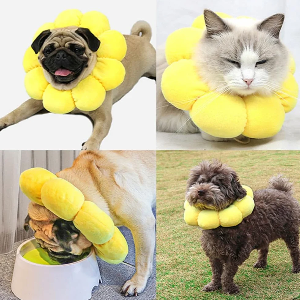 Collerette Anti Léchage pour Chat et Petit Chien, Coton Doux Ajustable, Tournesol M