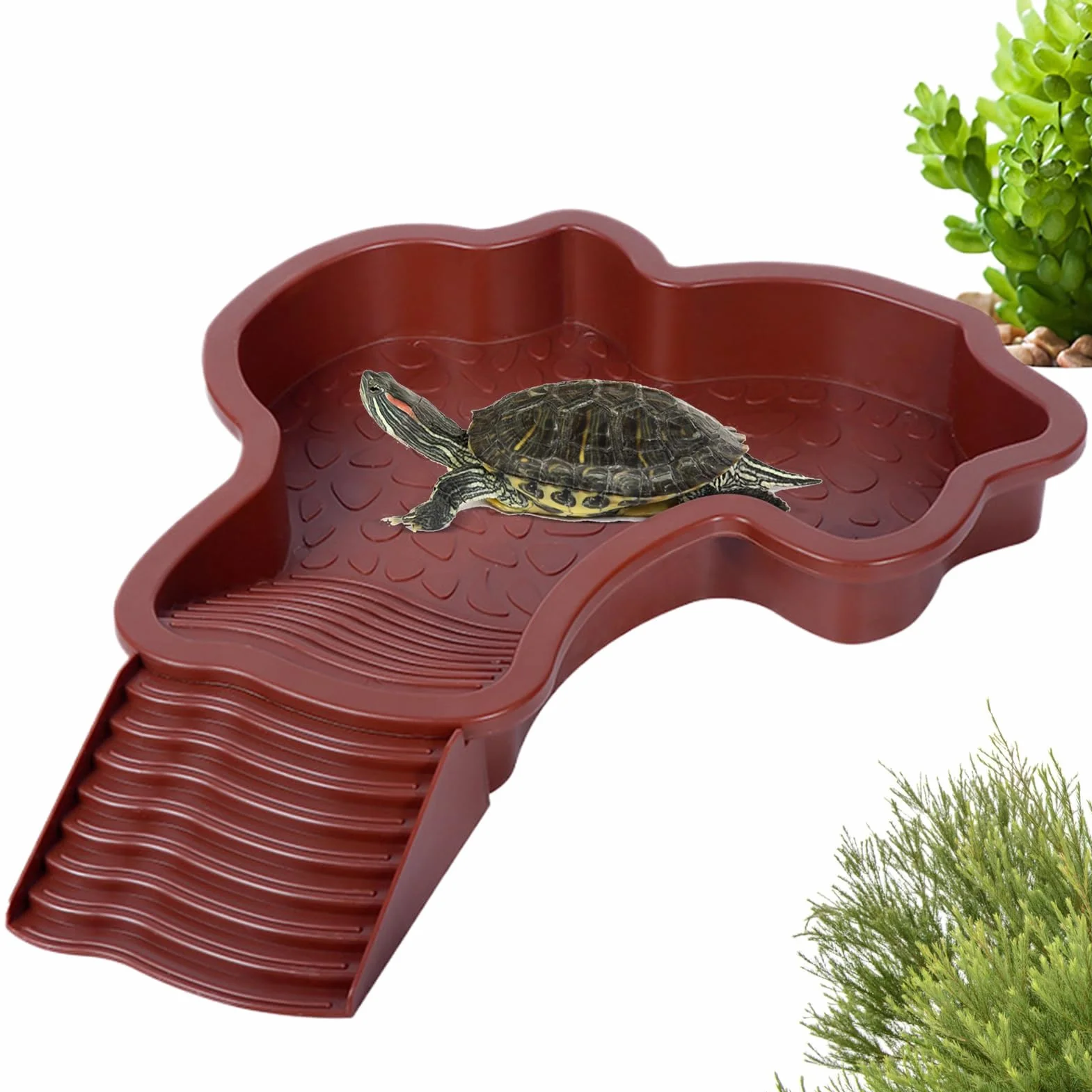 Bassin pour Tortue avec Rampe et Échelle, Plat d'eau pour Reptiles, Mangeoire pour Terrasse
