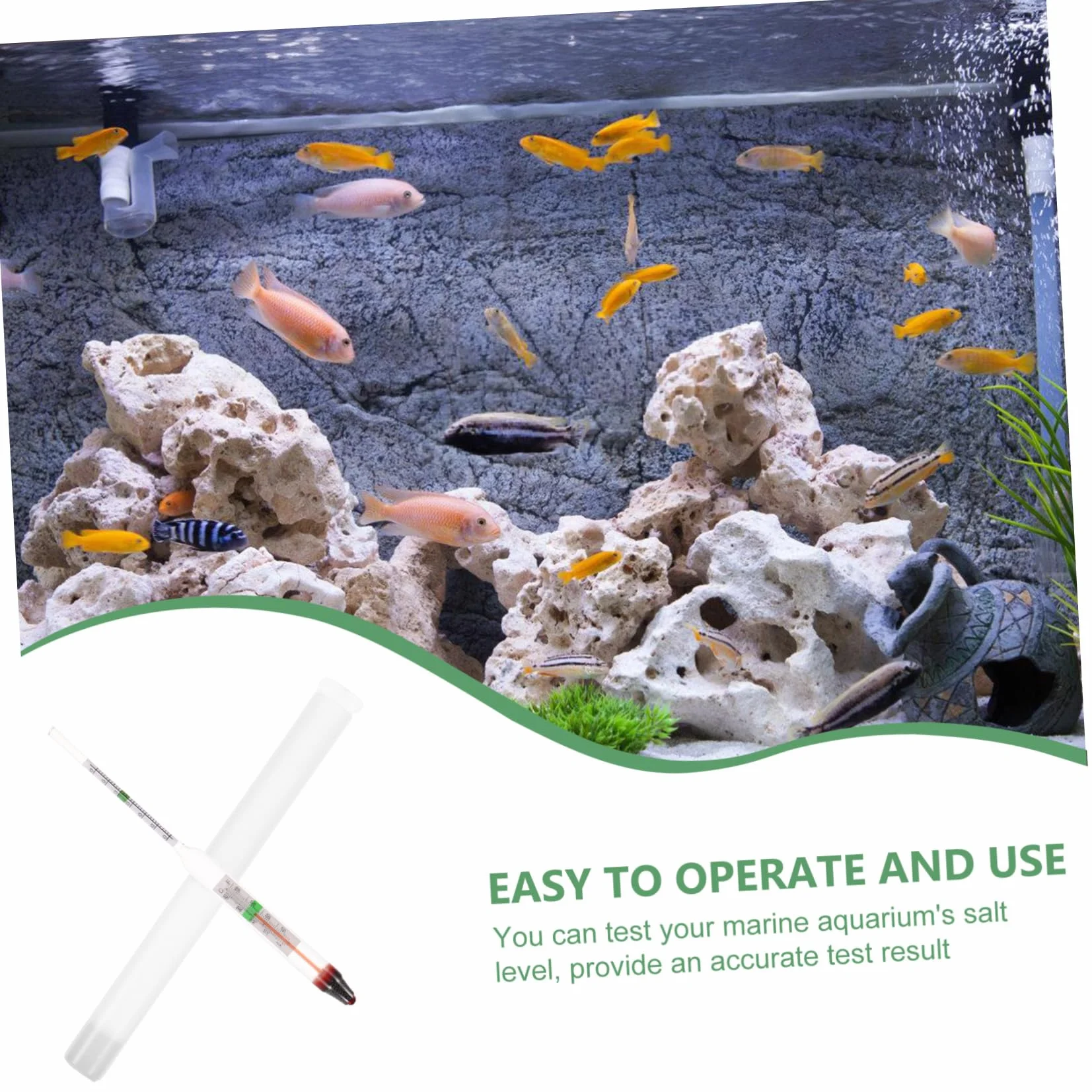 Milisten Hydromètre De Salinité pour Aquarium Eau De Mer Compact Léger Densimètre Précis