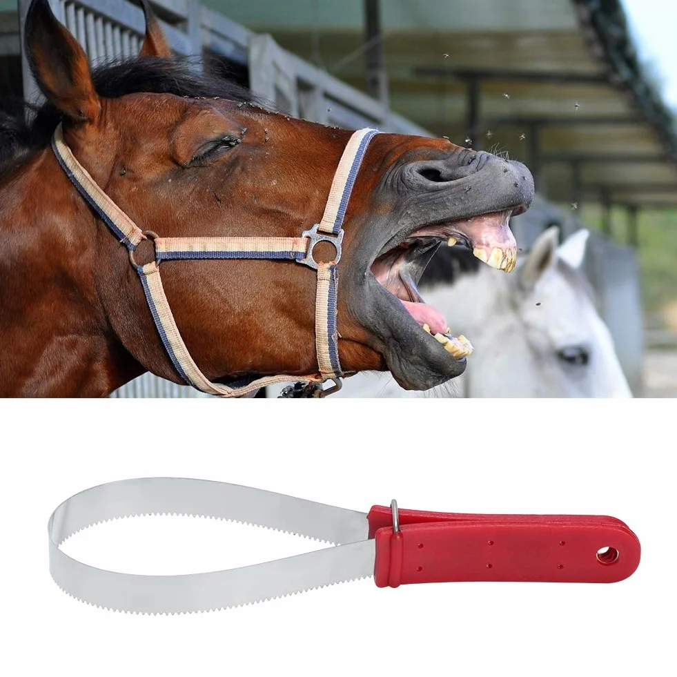 Grattoir À Sueur pour Cheval, Racloir Lame Double Face pour Perdre Poils Cheval Poney