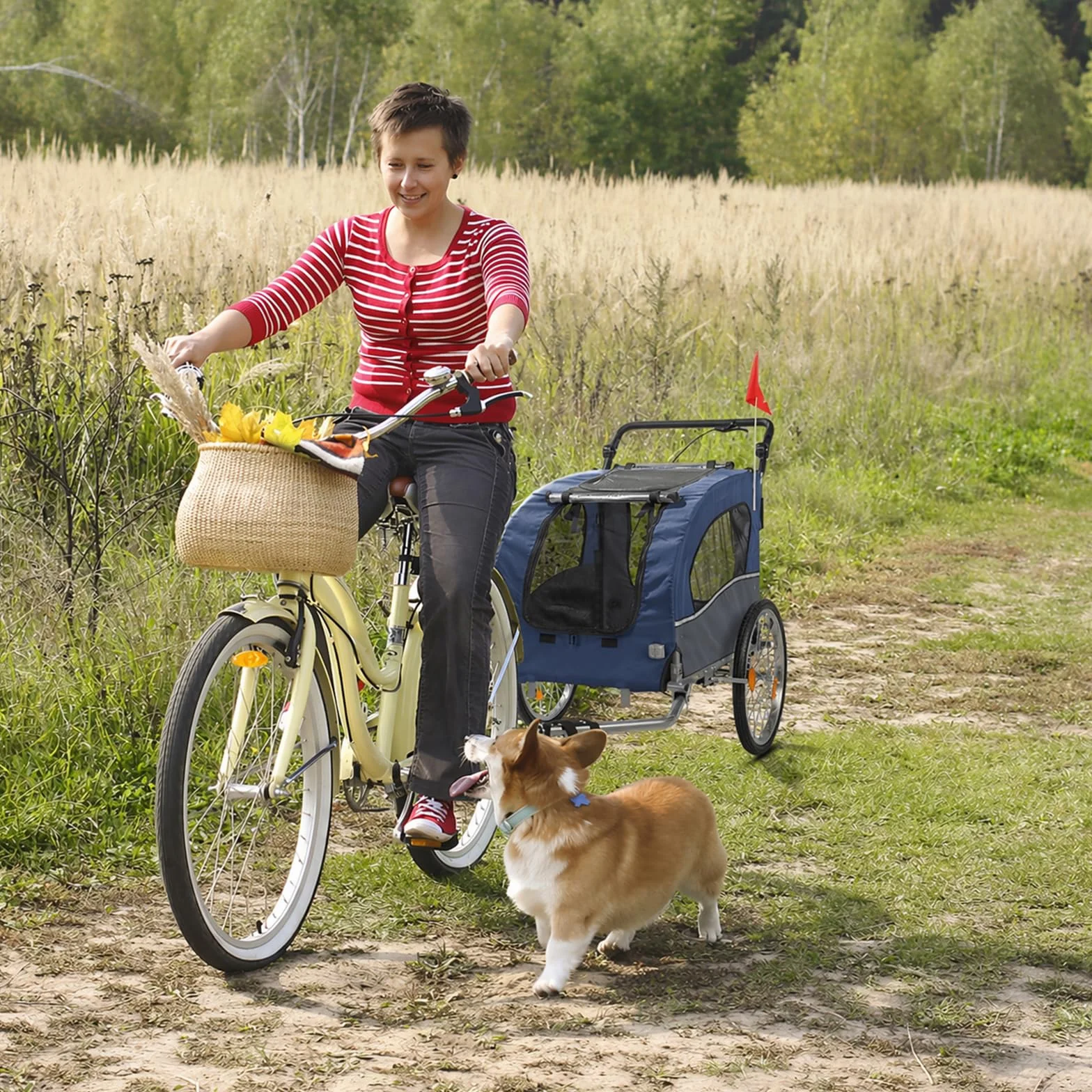 Bonnlo Remorque de Vélo pour Animaux 2-en-1, Poussette pour Chien Tout Terrain, Cadre en Acier, Charge 50kg, 155 x 82 x 106 cm
