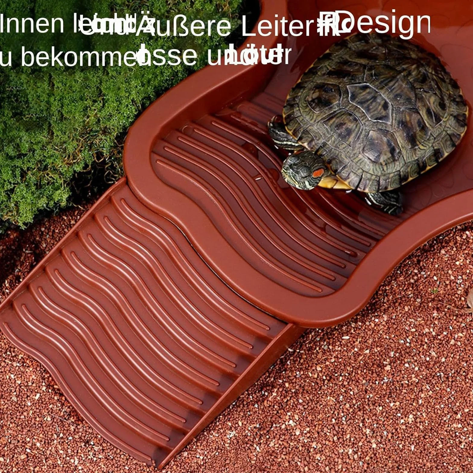 Bassin de bain pour tortues avec plateau incliné pour reptiles