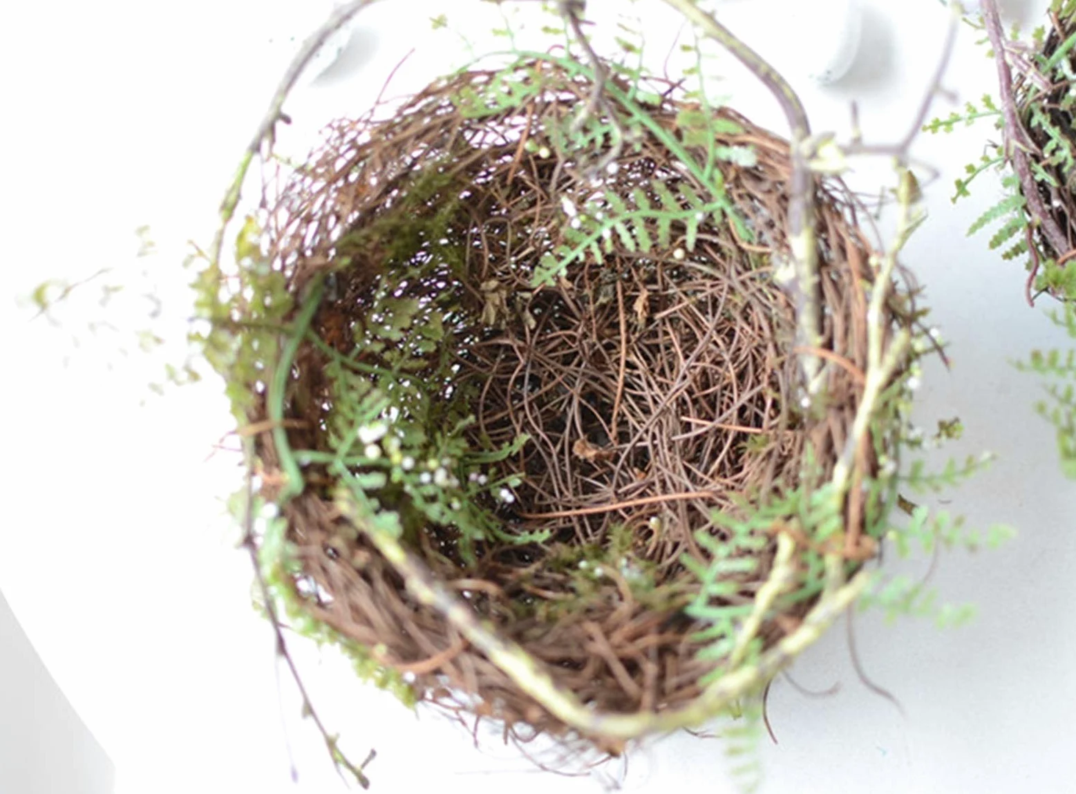 Nichoir Oiseaux Perroquet Artificiel Nid d'oiseaux Canaries avec œufs décoratifs, Cage d'oiseaux nichoirs naturels, 11x5cm, 13x7cm (Size : 11x5cm)