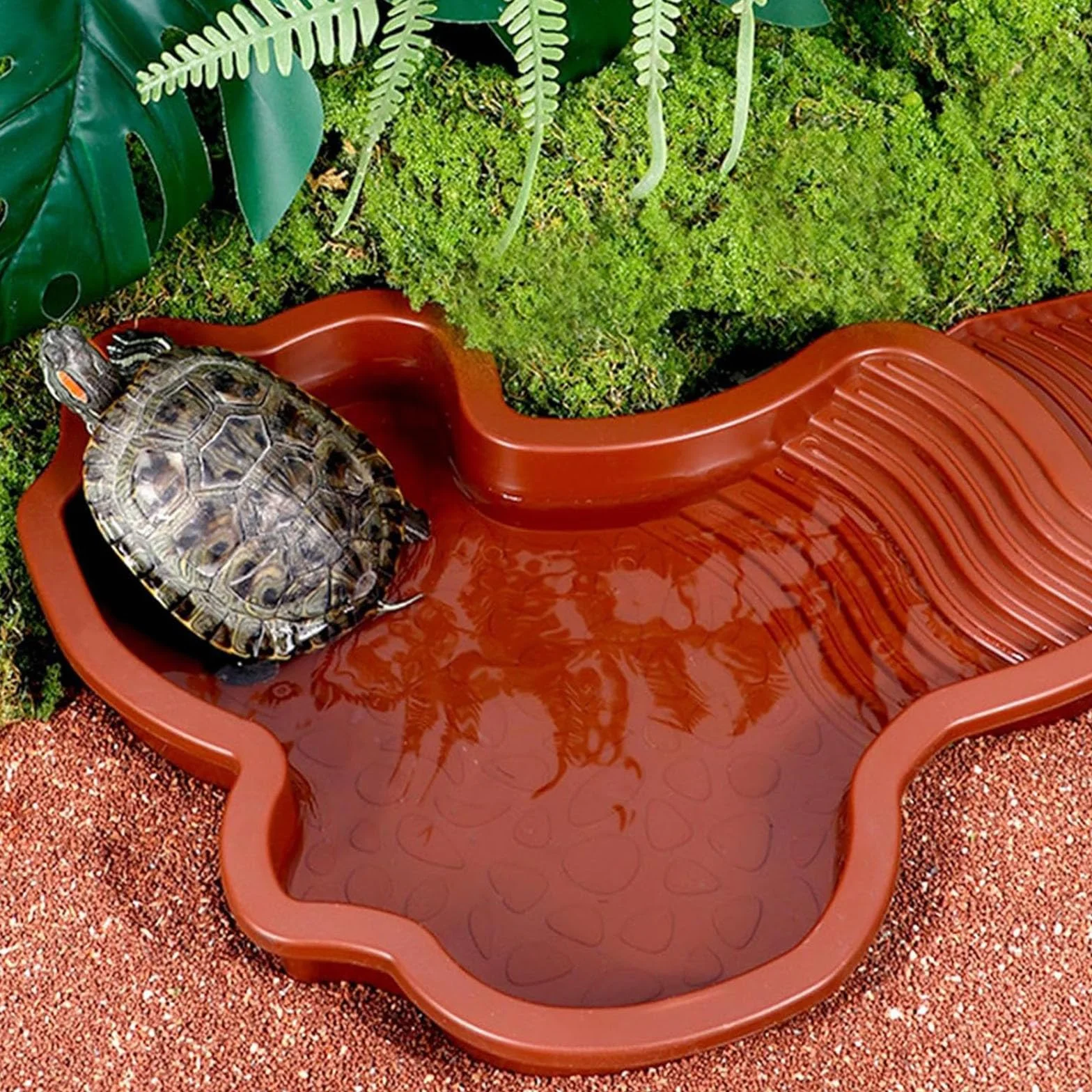 Bassin de bain pour tortues avec plateau incliné pour reptiles