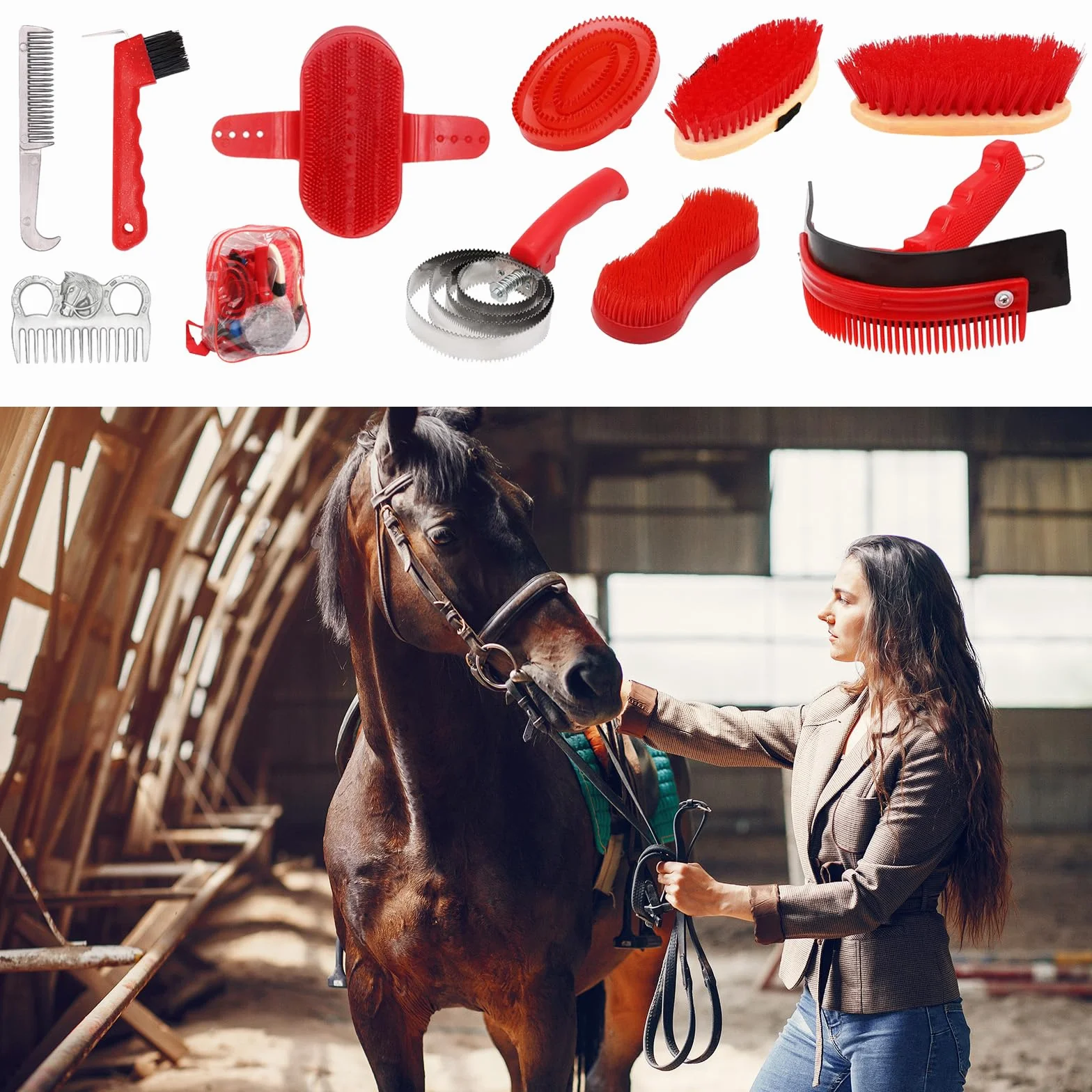Brosses Pour Chevaux 10 Pièces Ensemble De Soins De Toilettage Nettoyage Brosse Équestre Accessoires Massage