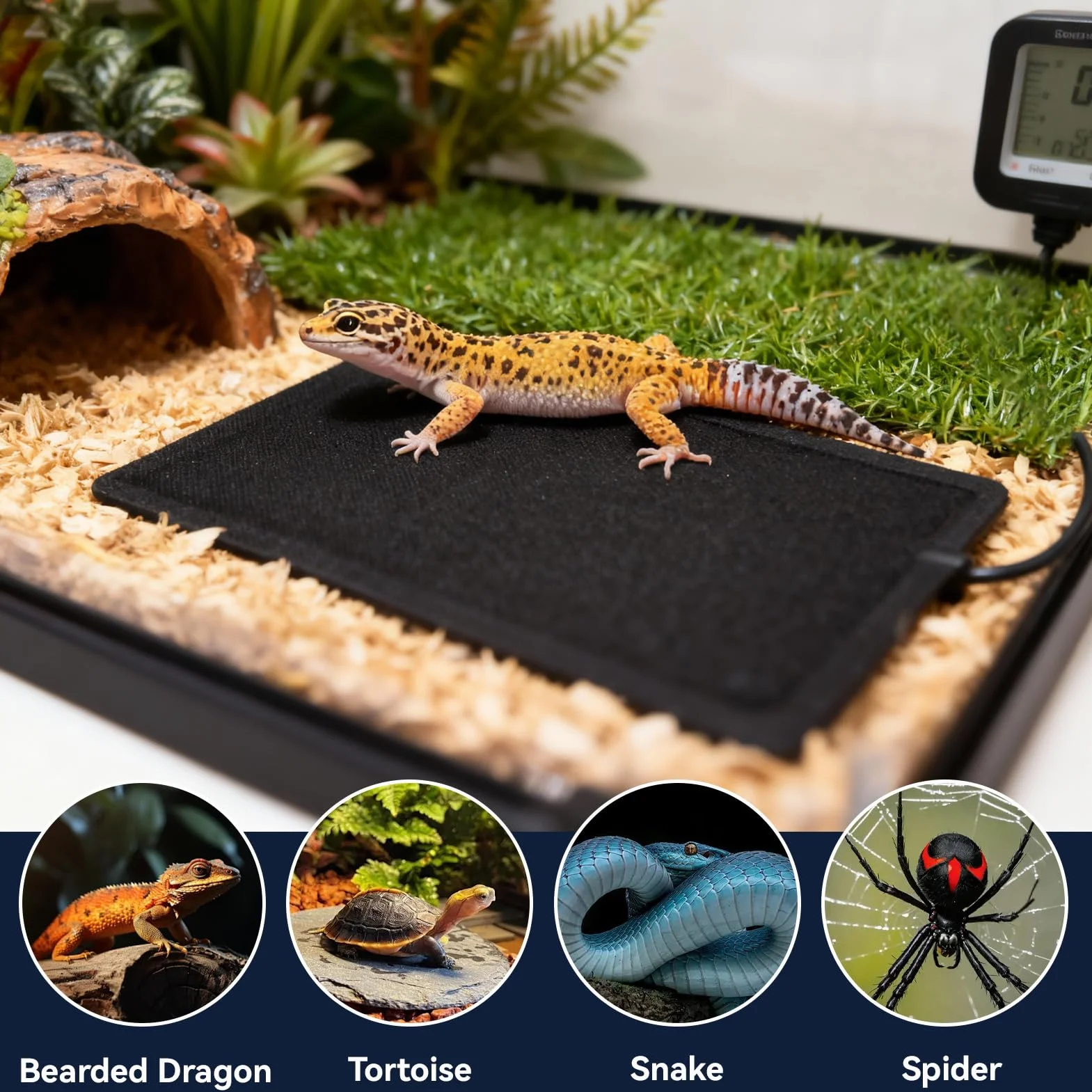 Coussin Chauffant Pour Reptiles Tapis Chauffant électrique Terrarium 28x18cm