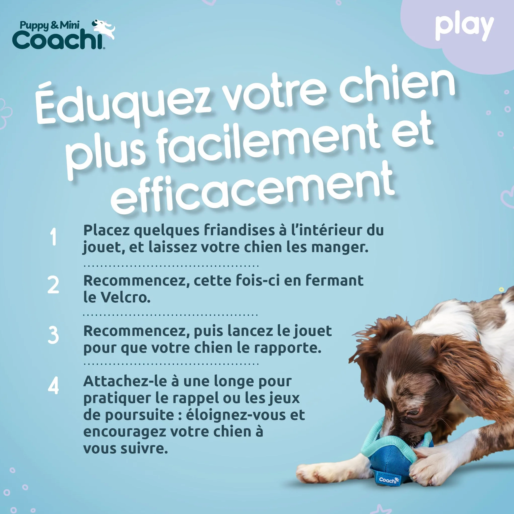 Coachi Chase & Treat pour Chiens et Chiots - Jeux de Poursuite, éducation à Distance et agilité
