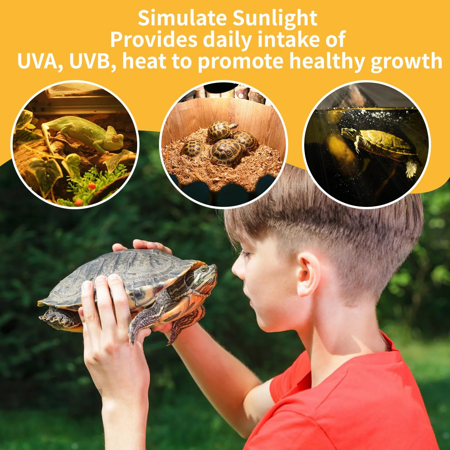 Caldarax Ampoule Chauffante Terrarium E27 Dimmable 25W UVA UVB Lampe Reptile 230V Lot de 2