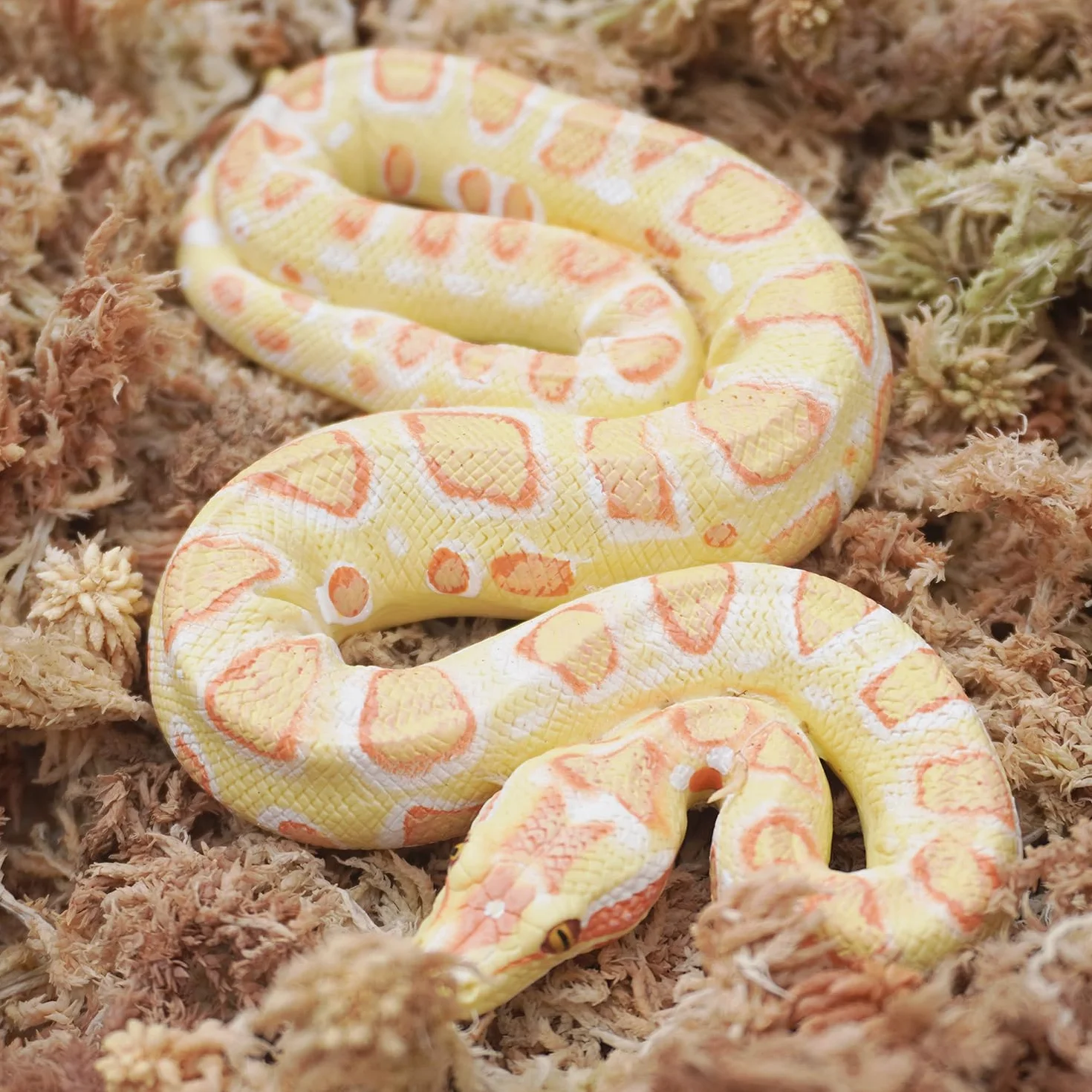 175g Mousse de sphaigne Naturelle pour Reptiles, Milieu idéal de rétention d'humidité pour Serpents, Tortues et Autres Reptiles, Bon pour Les terrariums de Reptiles & Amphibiens