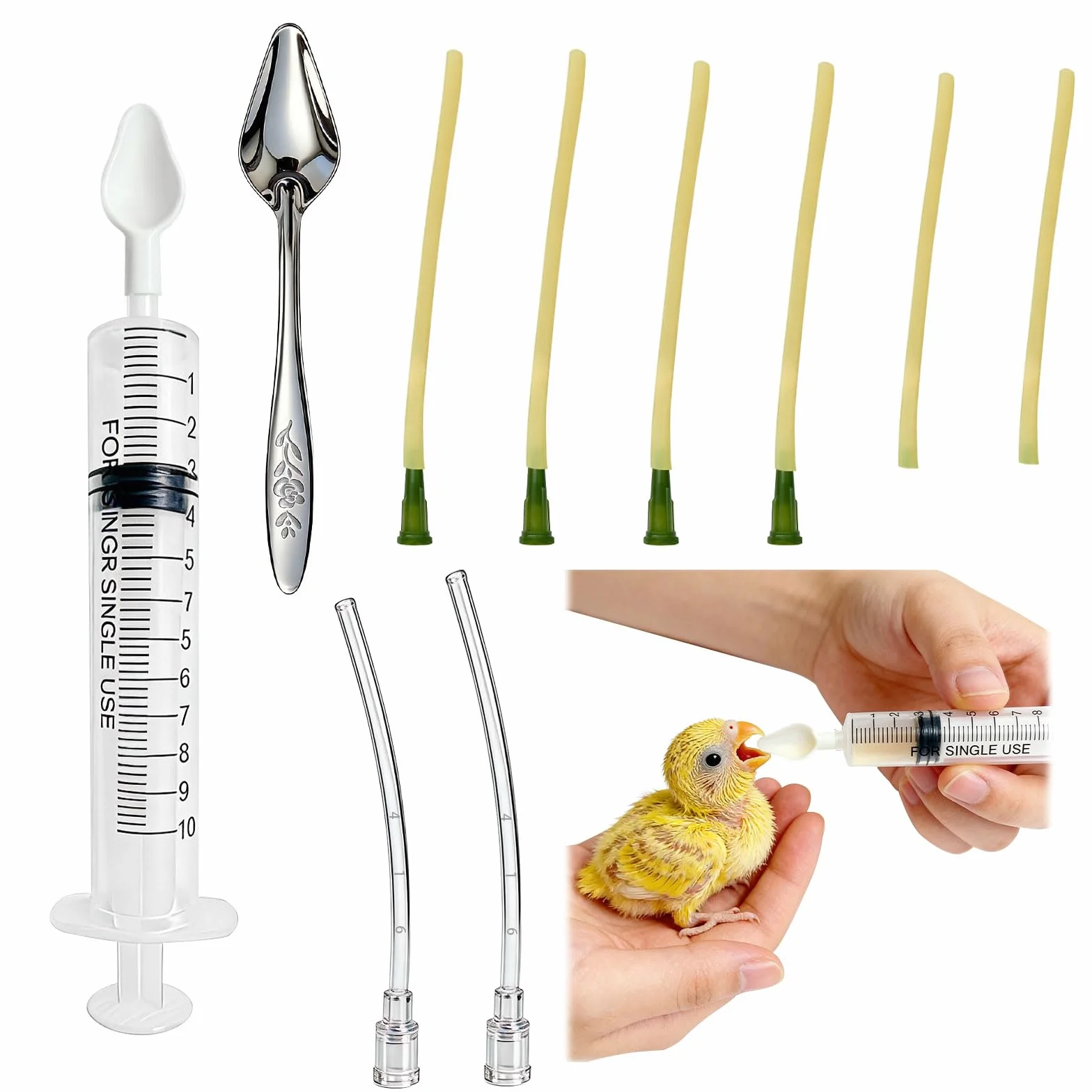 Seringue avec Tuyau d'Alimentation 10ml pour Jeunes Oiseaux Perroquets