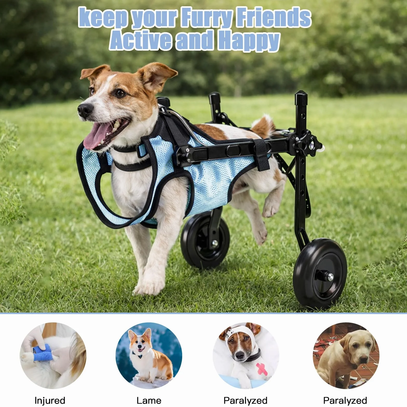 Fauteuil roulant pour chien - Pour pattes arrière - Chariot d'aide à la mobilité réglable - Cadre en aluminium léger pour petits chiens/chats - Paralysie, handicap (bleu, XS (poids jusqu'à 3,5 kg)