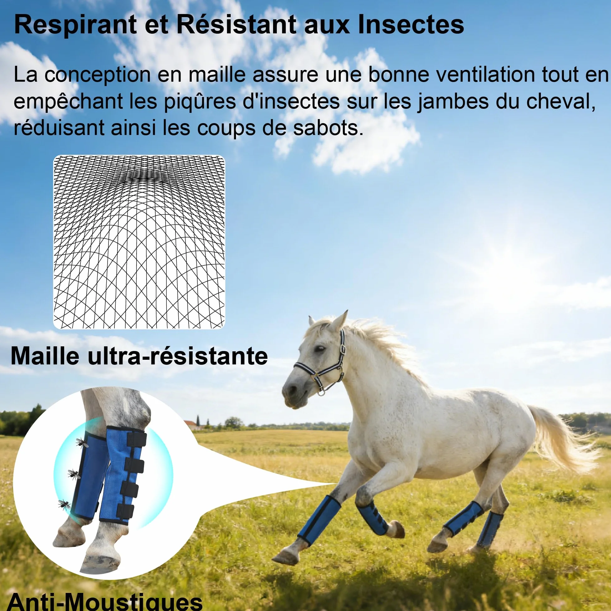 Guêtres Anti-Mouches pour Chevaux Lot de 4, Maille Respirante, Bleu Large
