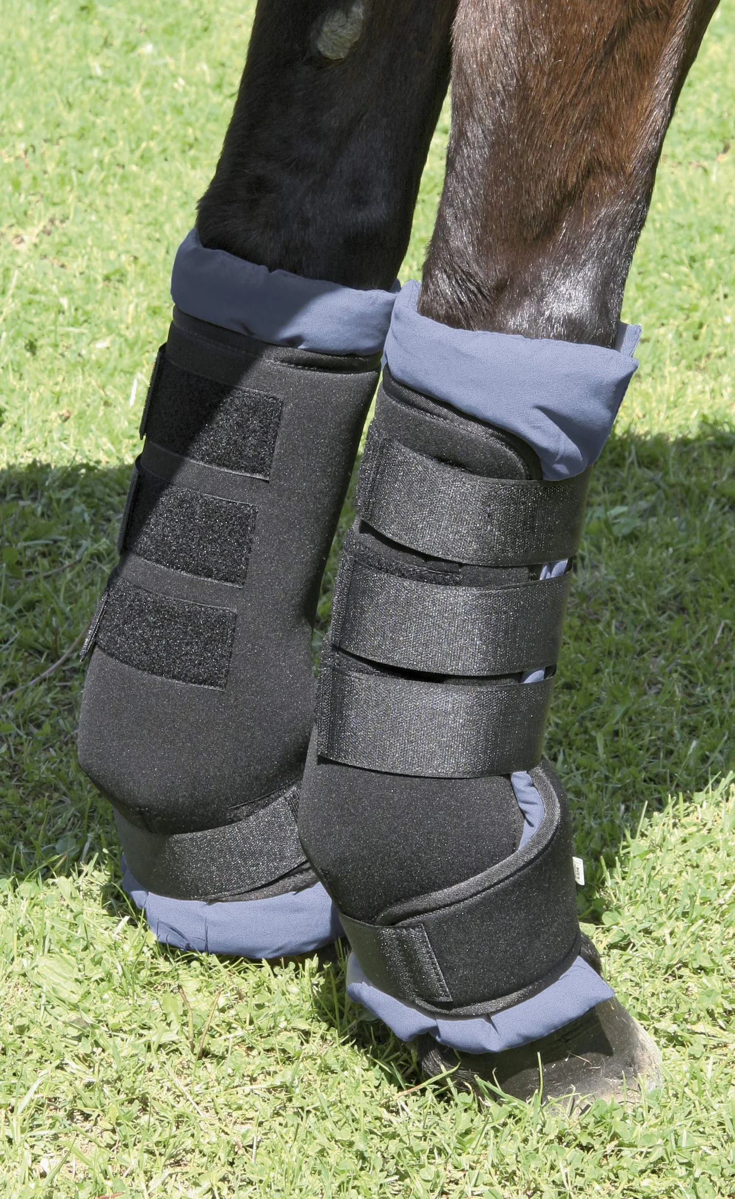 Kerbl Guêtres de Transport Néoprène pour Cheval Noir