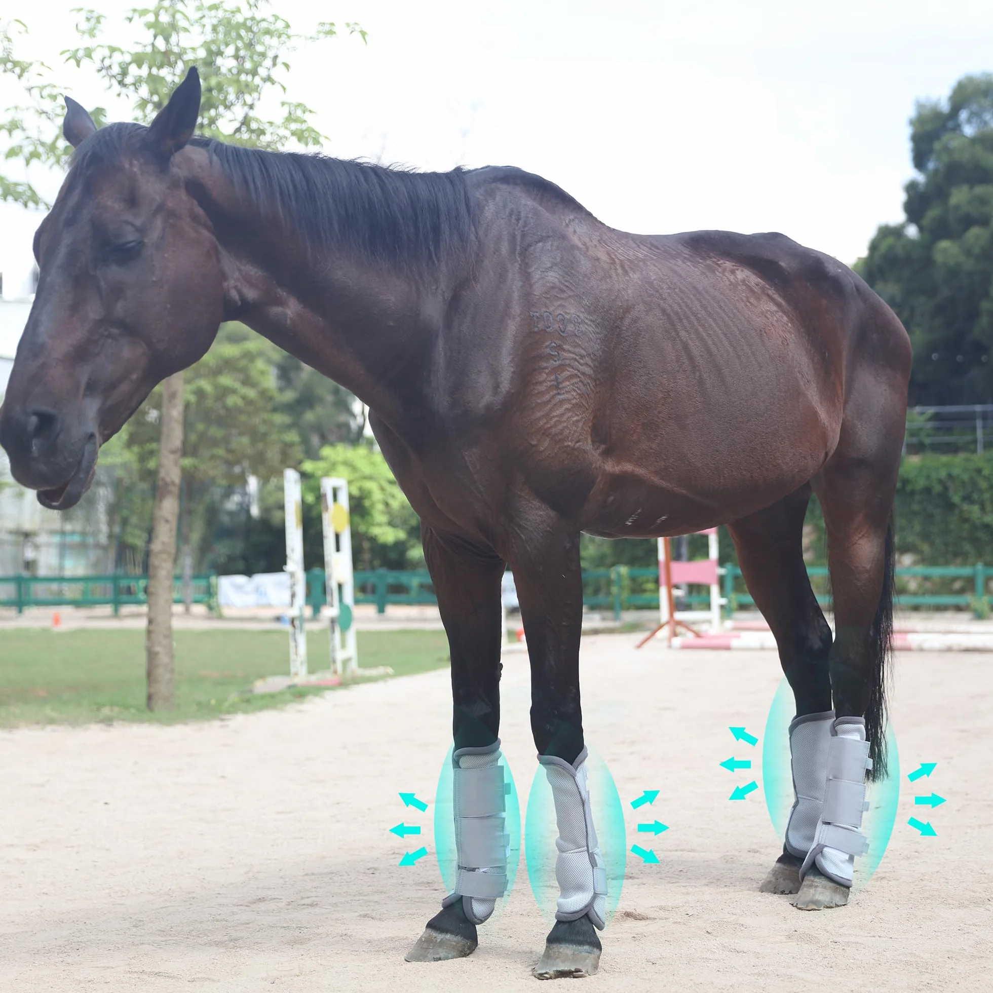 Leberna Lot 4 bottes anti-mouches cheval gris taille complète