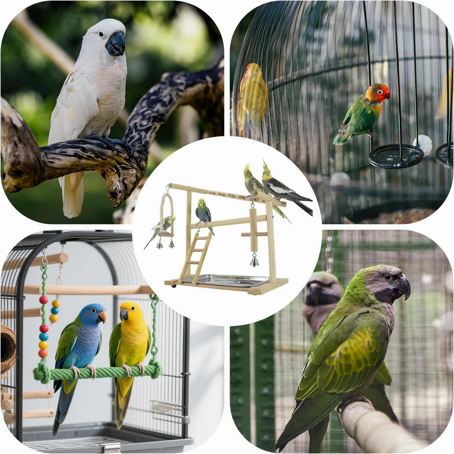 Perchoir À Oiseaux Balançoires et Échelles en Bois pour Grimper | Avec Plateau Amovible en , Coupe et Perchoir pour Calopsitte Pour Dressage, Fourrage, Maison, Intérieur et