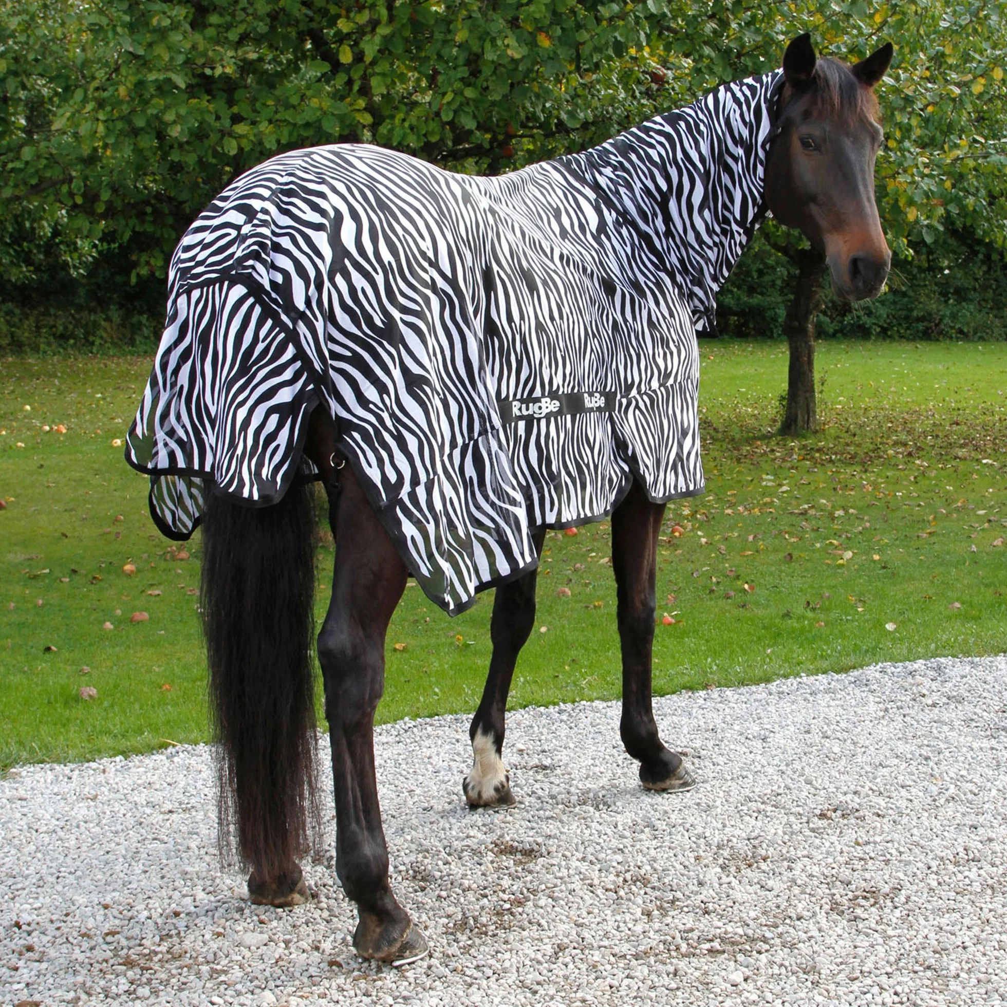 Kerbl Couverture Rugbe Zebra 155 cm Cheval XL