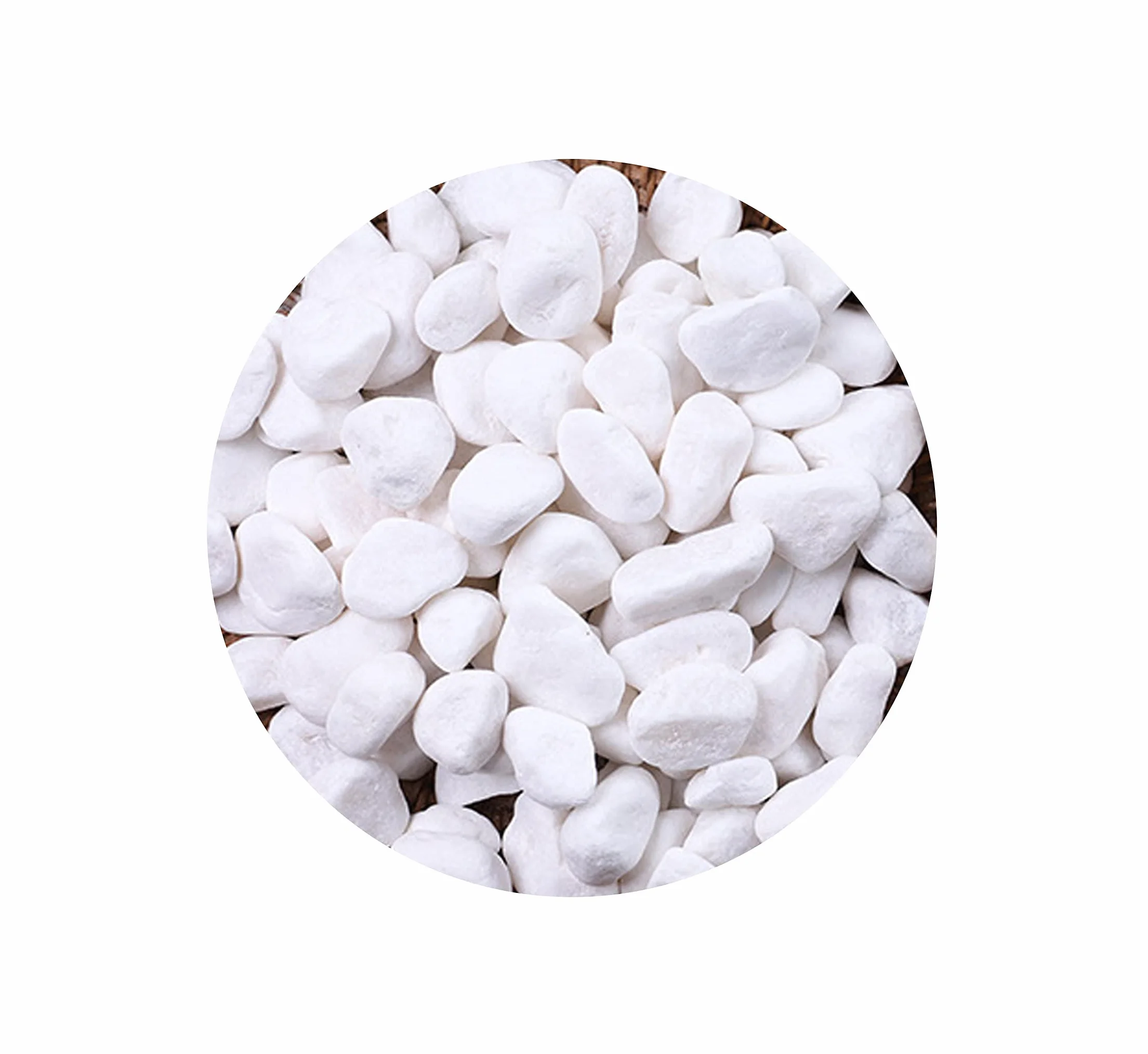 Gravier Aquarium Naturel Blanc 900g – Décoration Jardin Plante Tortue