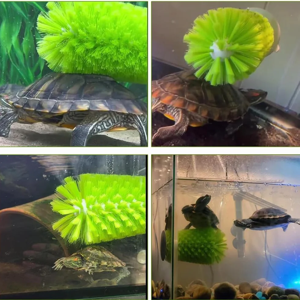 Brosses à tortue ventouse lot de 2 exfoliante rayures dos coquille écailles