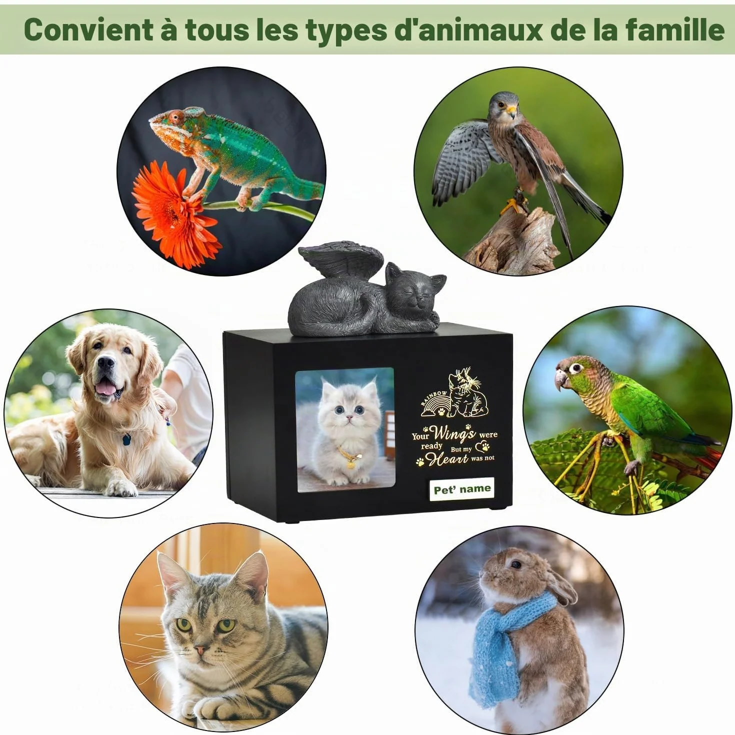 Urnes souvenir personnalisées pour chats et chiens – Boîte en bois pour cendres d'animaux avec photo – Cadeaux de condoléances