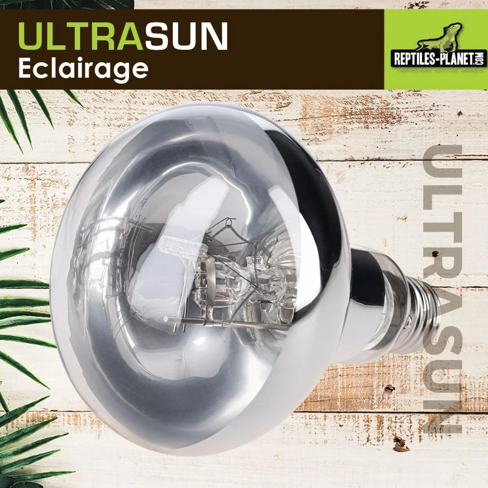 Reptiles Planet Ultrasun 80 W Ampoule UVA UVB pour Reptiles