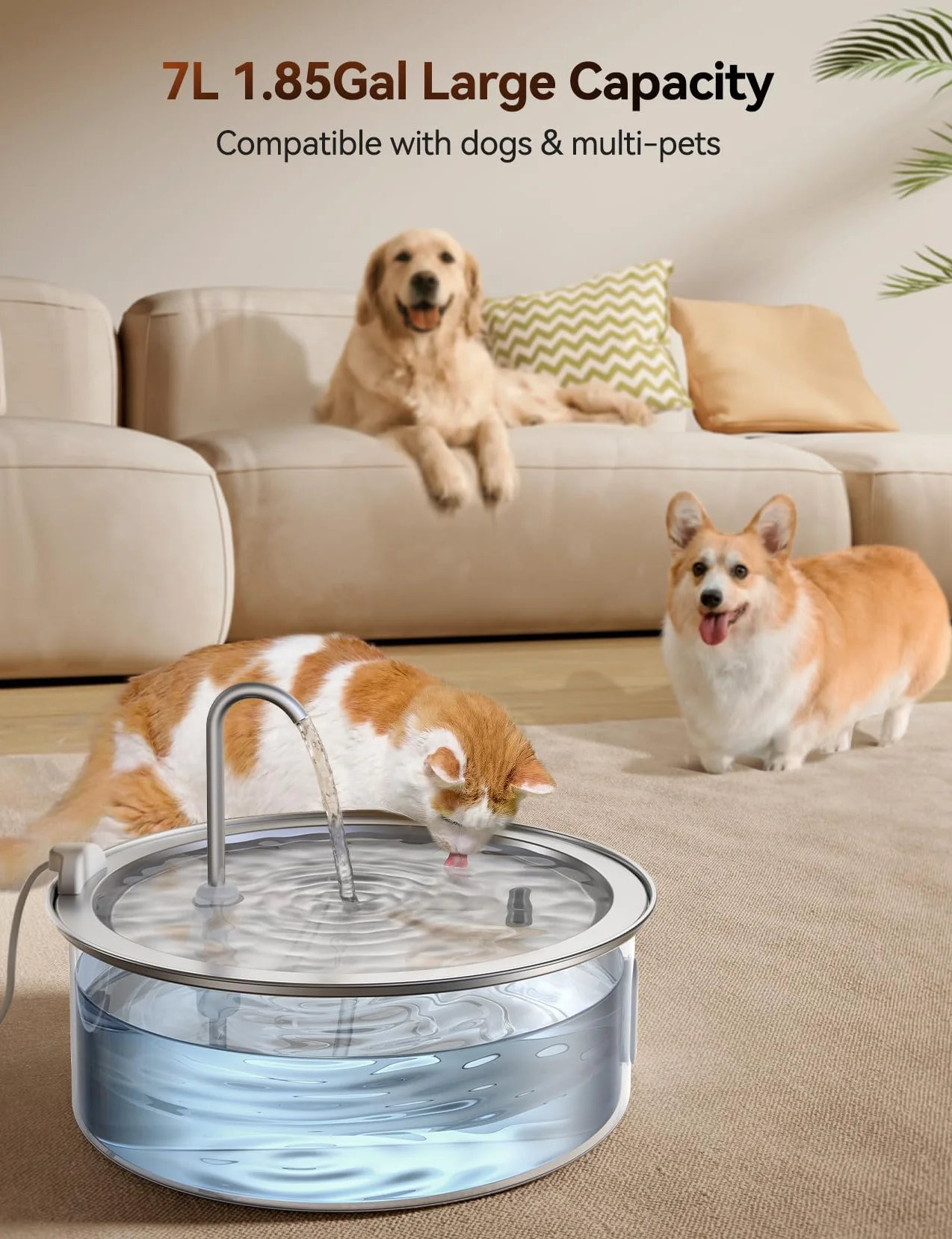 Fontaine à Eau Chien Acier Inoxydable 7L avec 2 Filtres