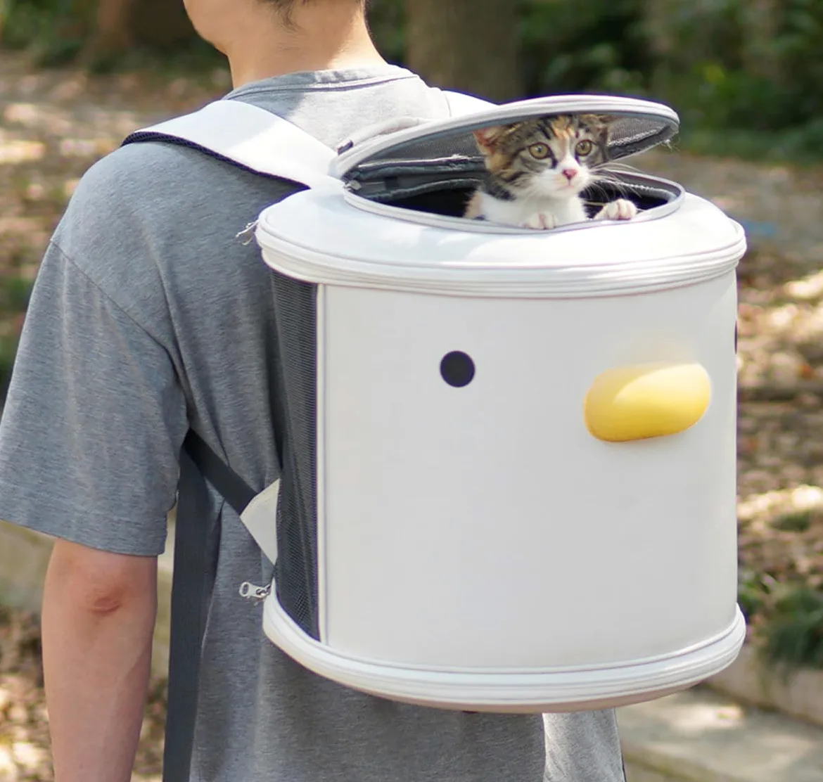 PURROOM Sac à dos de transport pour chat - Pour transporter de petits chiens - Design mignon - Housse supérieure et ventilation latérale - Maille souple et sangles de sécurité - Utilisé pour les
