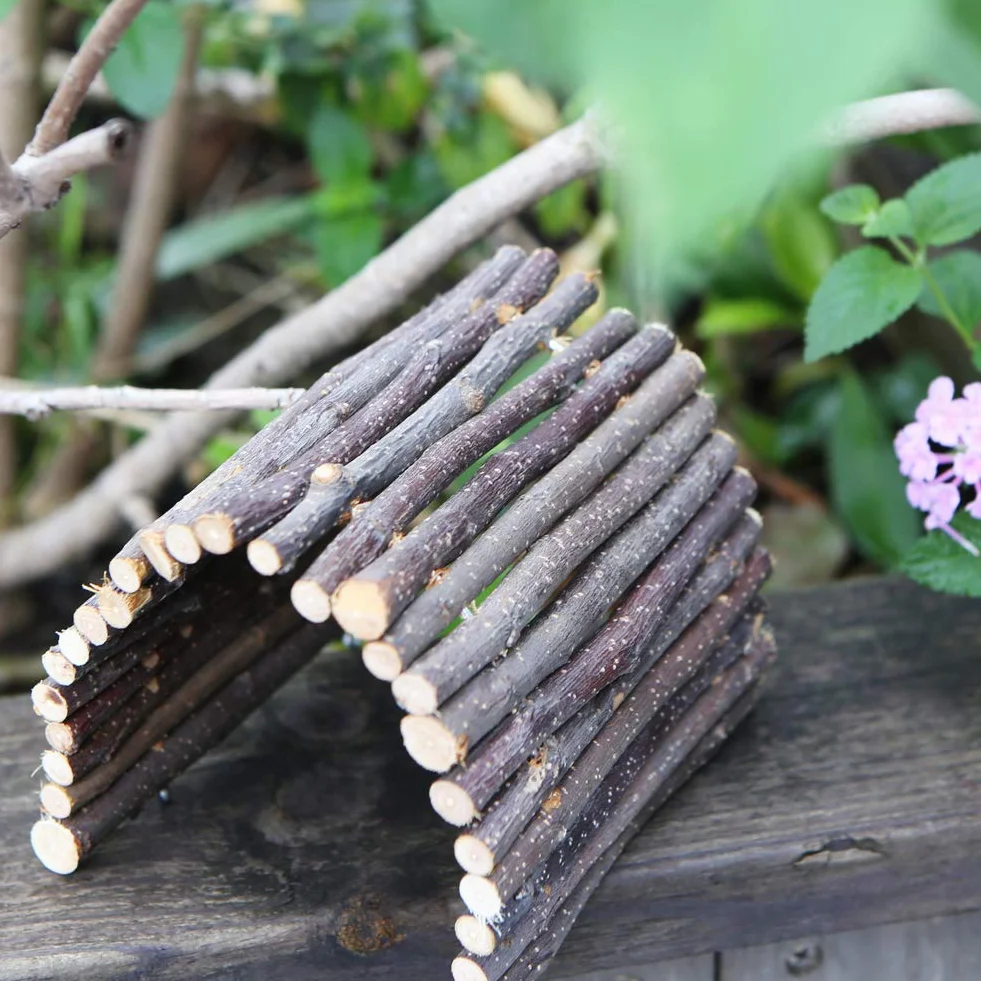 Lot de 2 ponts à mâcher en bois pour hamster reptile lézard tortue