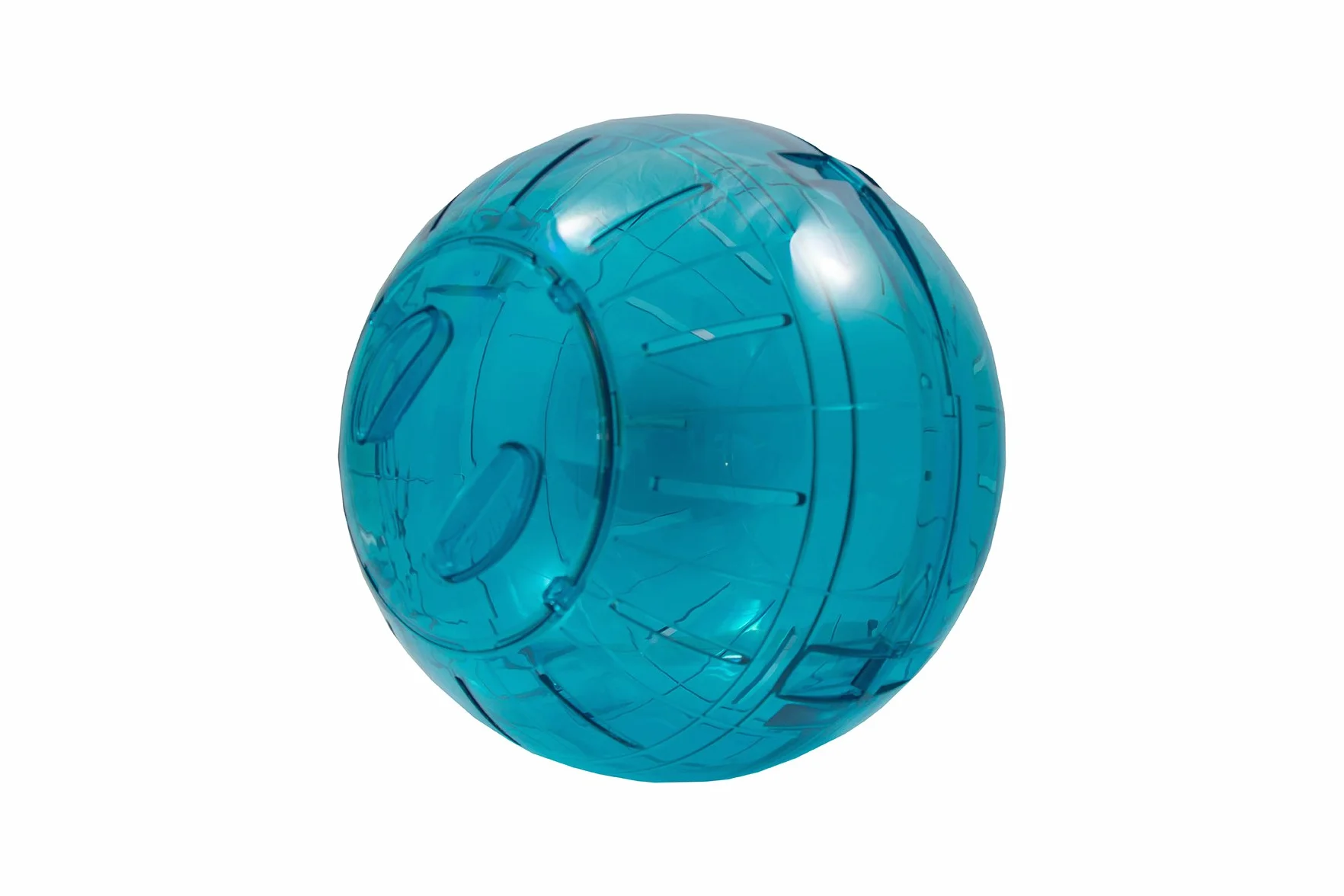 Boule Gym pour Hamsters 18 cm