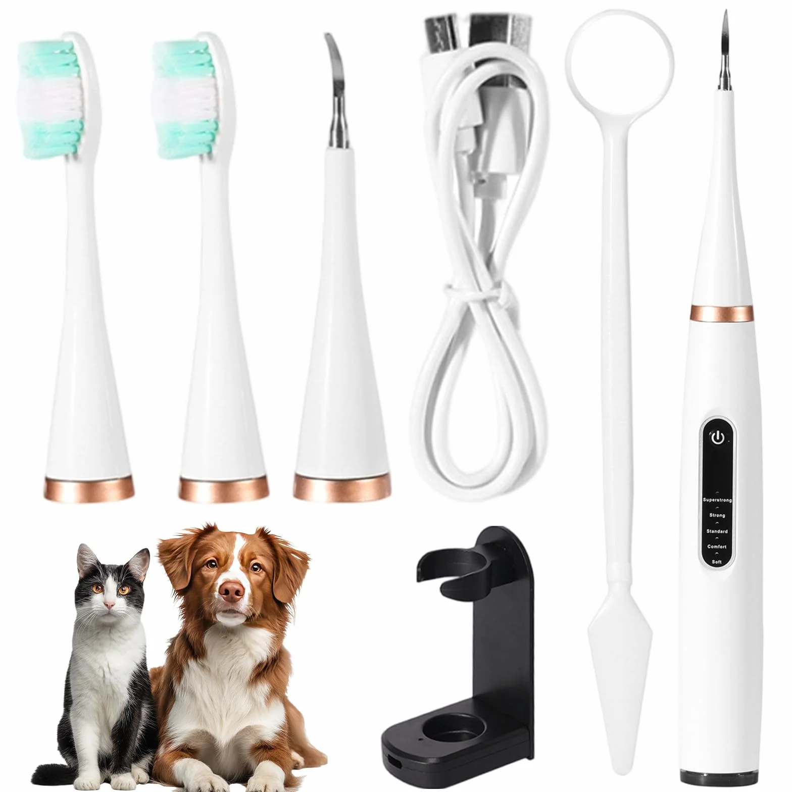 Detartreur Dentaire Ultrasonique pour Chien et Chat - Kit 5 en 1 Ultra Edition, 31K Vibrations/min, 4 Embouts, USB-C, Autonomie 30 Jours, Étanche IPX6