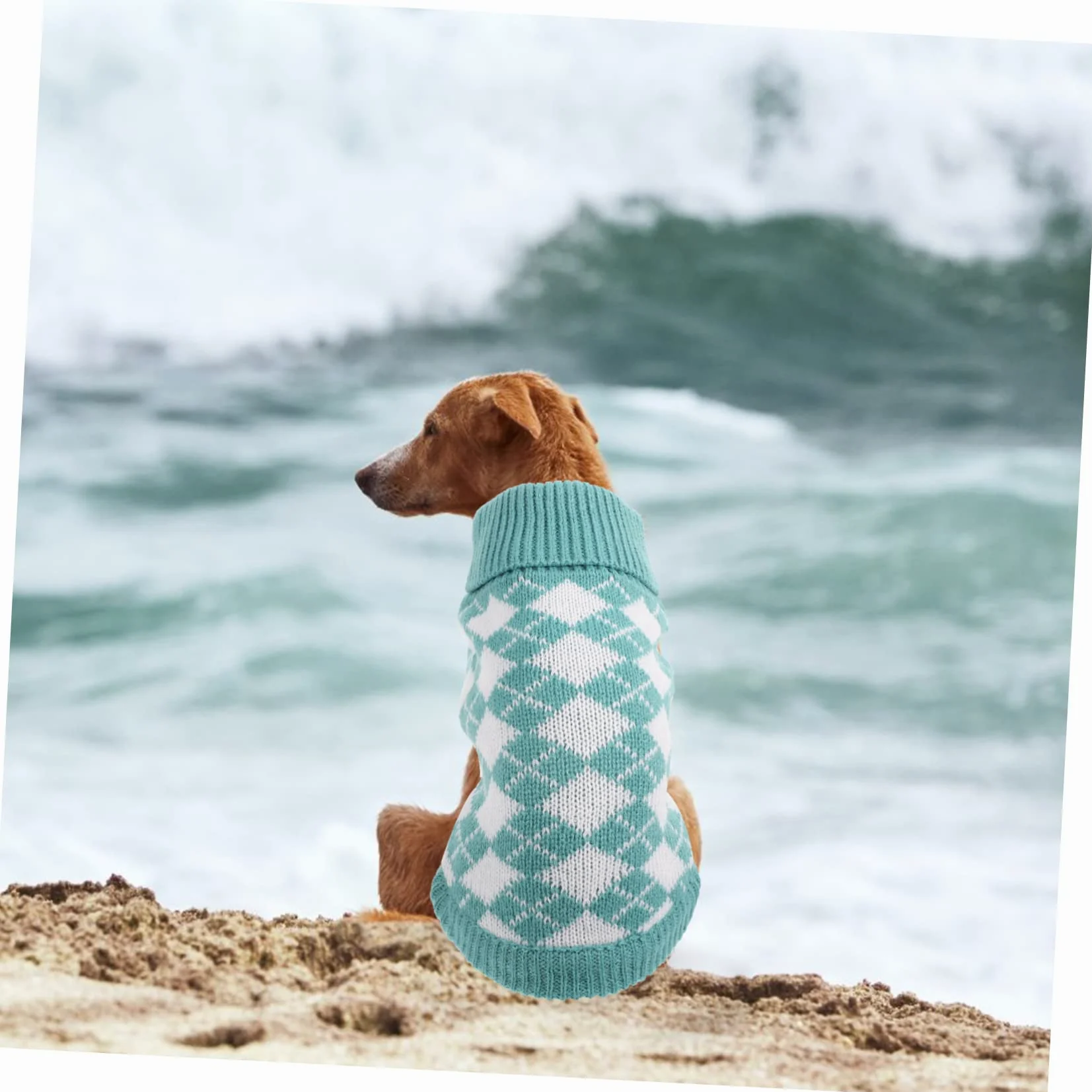 PRETYZOOM 3pièces Pull pour Chien Doux Et Chaud Vêtement Automne-Hiver pour Animaux Style Élégant pour Petite Et Confortable Et Respirant