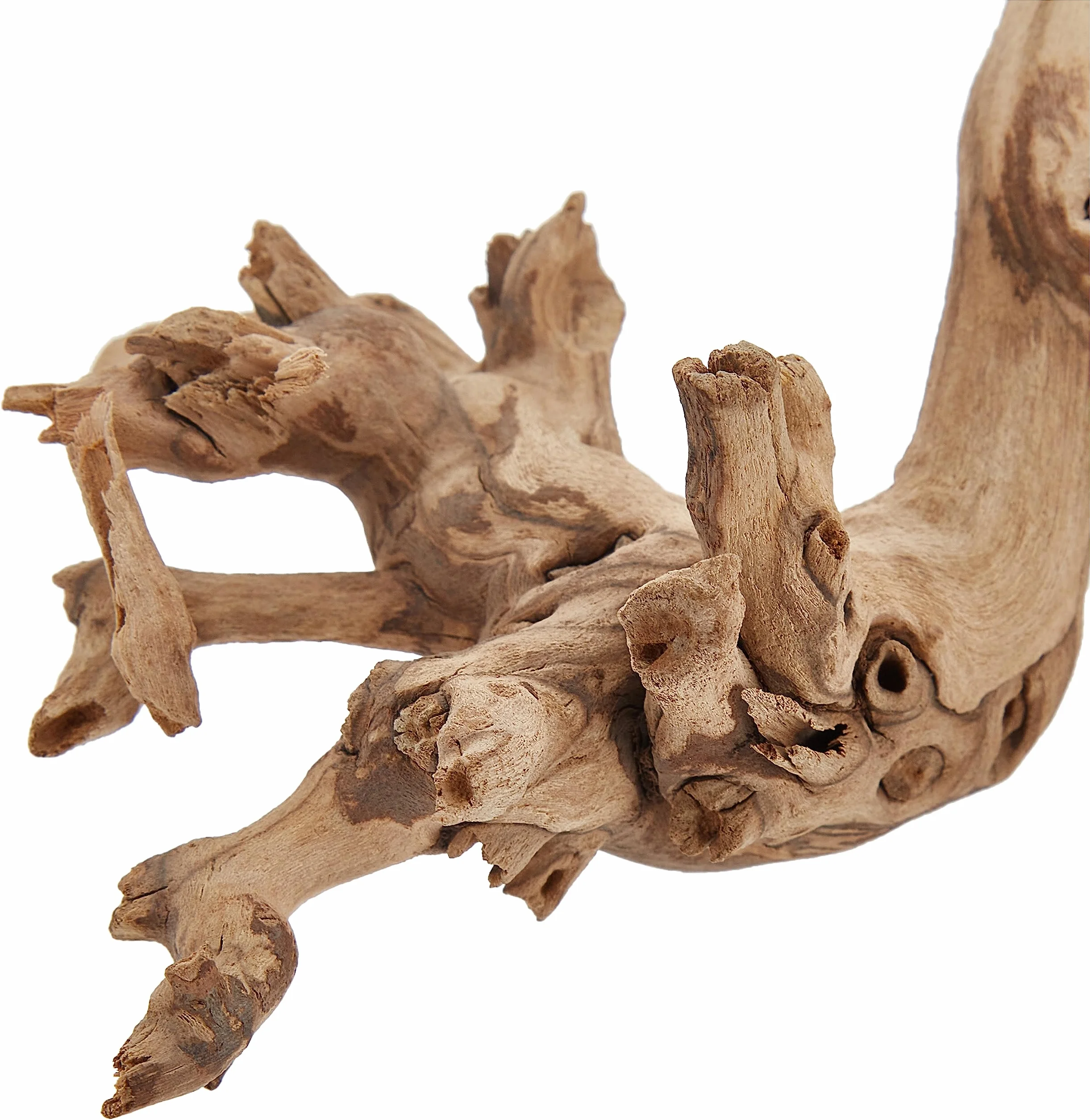 Exo Terra Branche de forêt Taille L
