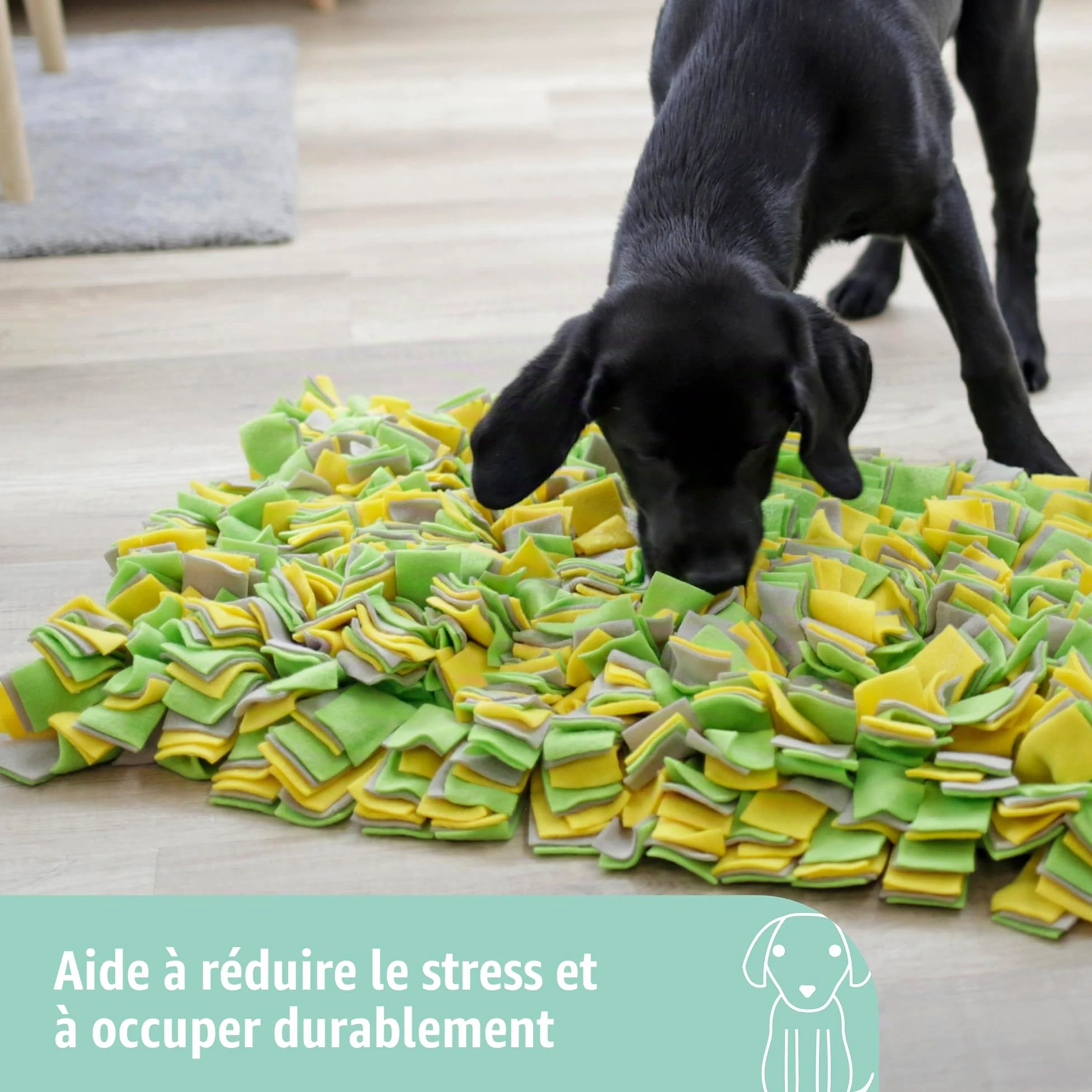 Kerbl Pet Tapis renifleur, 70x50cm, Jaune/Vert/Gris, Polyester, Jeux de Recherche et de reniflement, favorise la Concentration, pour Chiens de Toutes Races