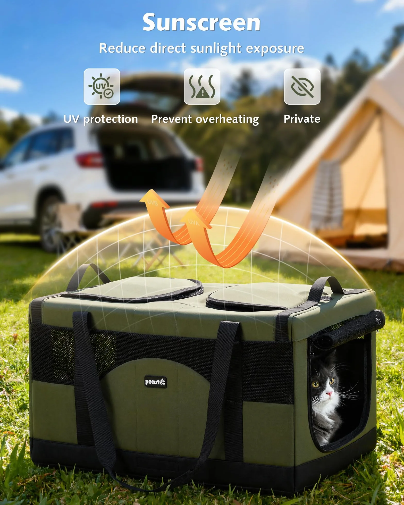 Pecute Sac de Transport pour 2 Chat, Cadre Ultra Stable, Pliable, Vert