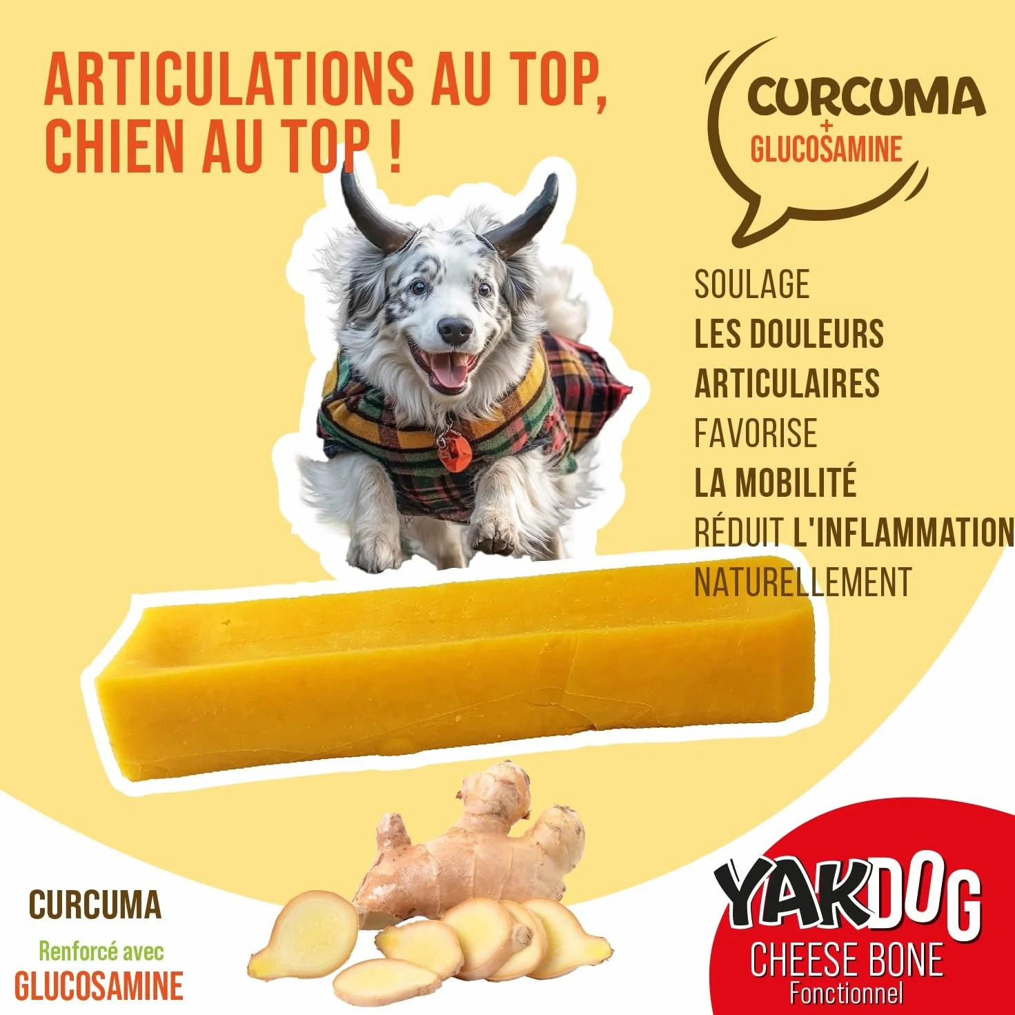 SANTÉ+ Bâtonnets Fromage Chien Curcuma Anti-Inflammatoire Articulations & Cartilage sans Gluten Riche en Calcium Protéines Friandise Longue Durée 100% Naturel Belgique XS