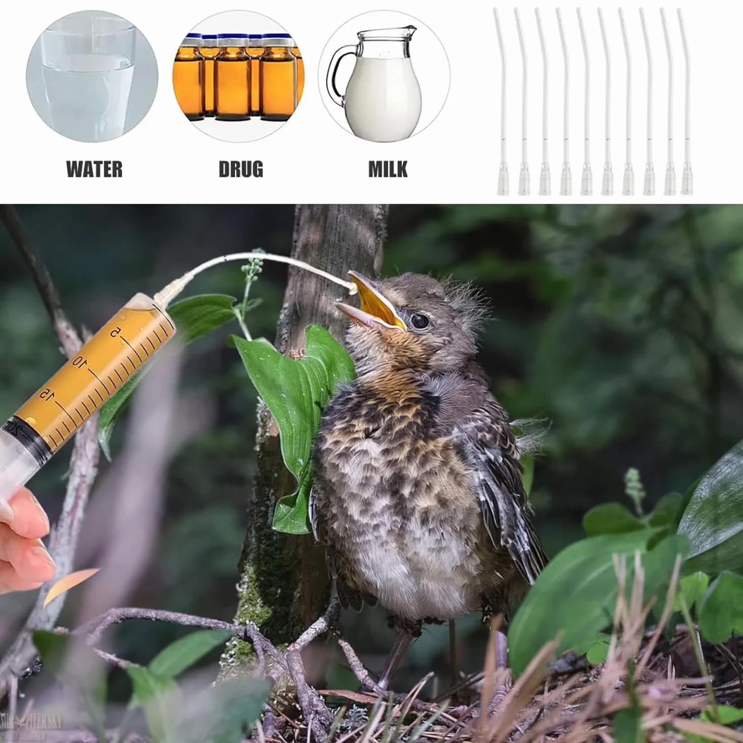 Kit d'alimentation pour Bébé Oiseau 10 ML Seringue avec Tubes pour Perroquets Petits Animaux