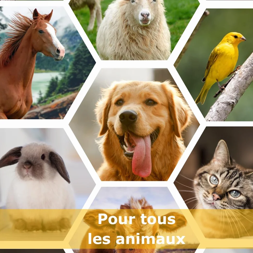 Anidev Vetramil Pommade Protectrice 30g Peaux Fragilisées Miel Huiles Essentielles