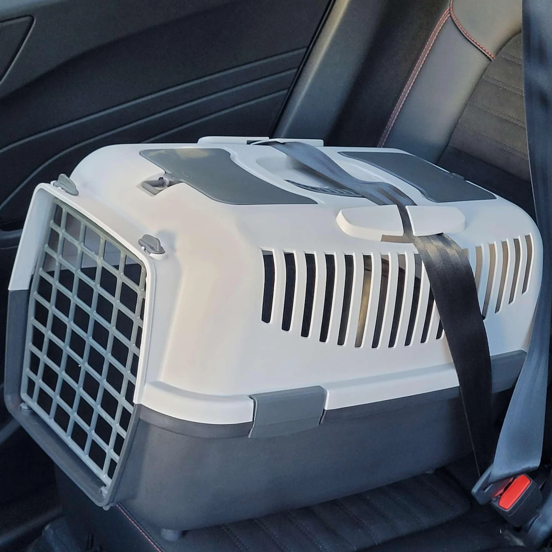 Cage de transport pour chien et chat Gris clair/gris foncé 58,5 x 37 x 38 cm