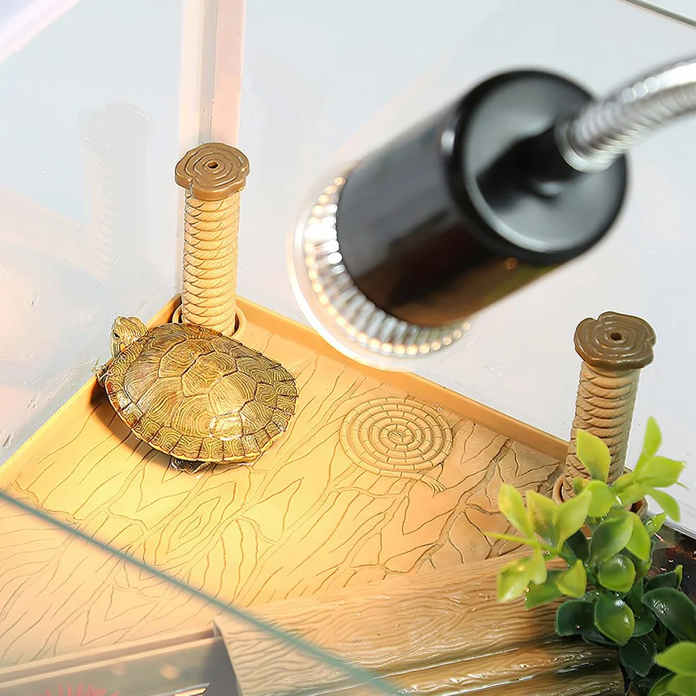 Lotvic Lampe Chauffante Tortue Reptiles 3 Ampoules UVA UVB Thermomètre EVA Clamp Pivotant