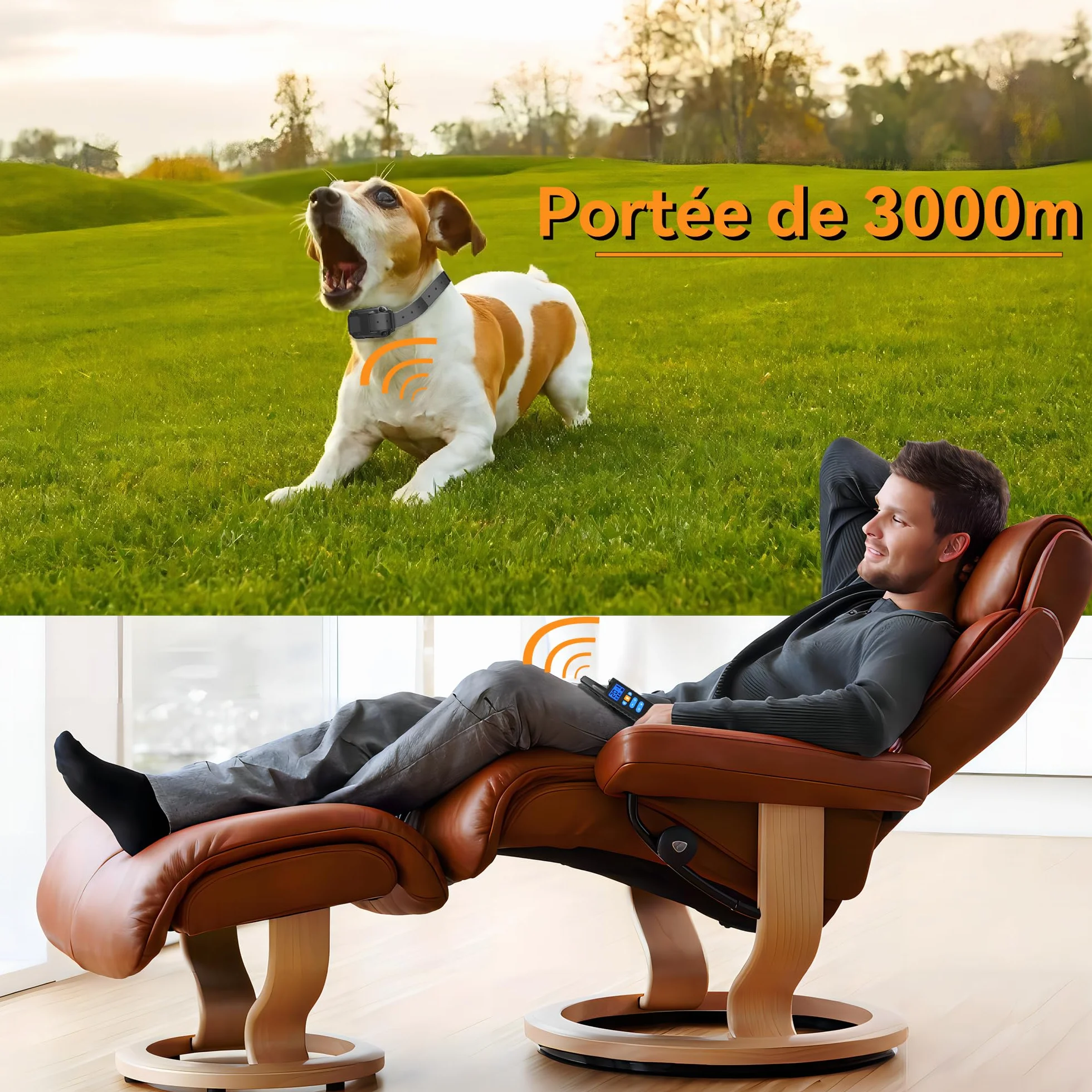 Collier de Dressage pour Chiens Rechargeable Meloive, Portée 3000m, Mode Vibration Son Choc Statique Lumière, IPX67 Résistant à l'Eau