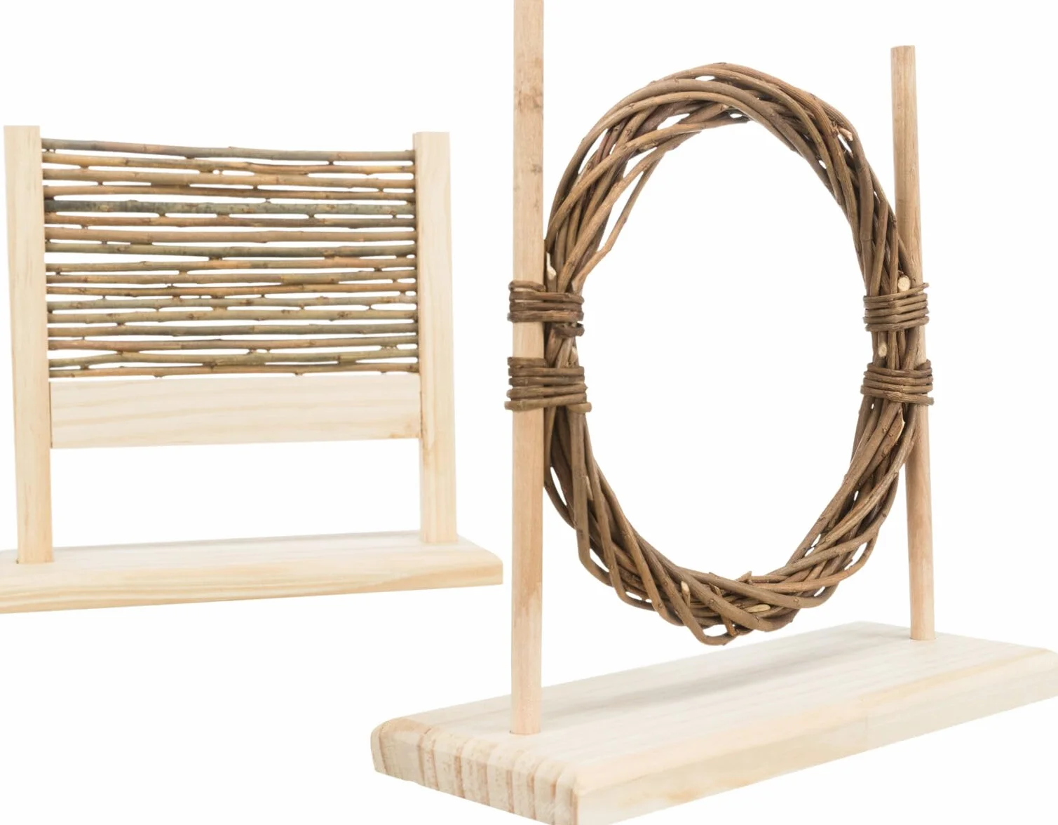Set Agilité avec Obstacle et Anneau 28x26x11 cm