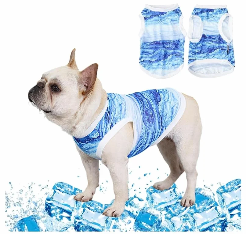 Gilet rafraîchissant pour chien bleu taille M petite à moyenne taille plein air randonnée