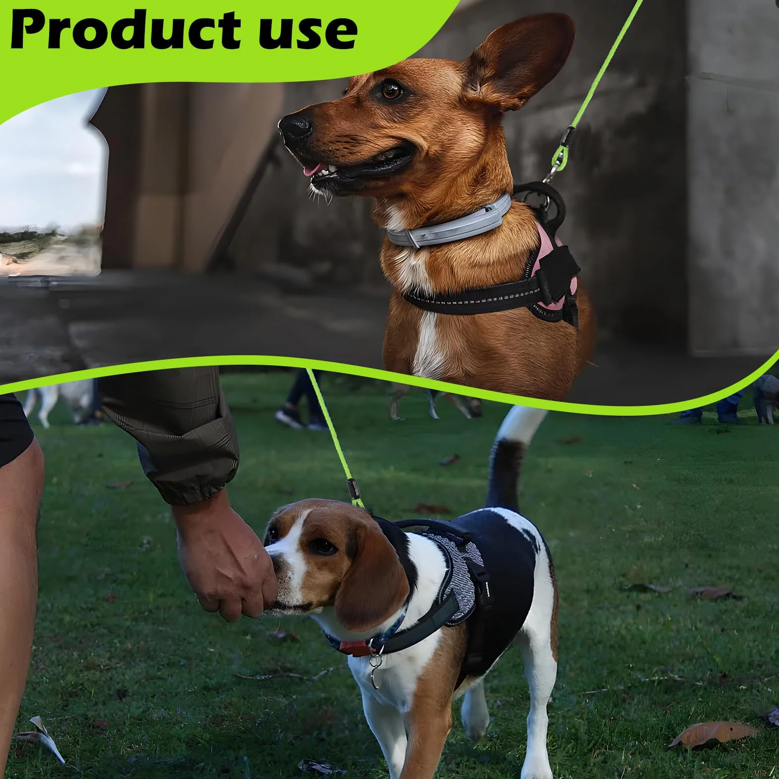 3m Câble d'attache pour Chien 4mm pour Cour et Camping en Plein air
