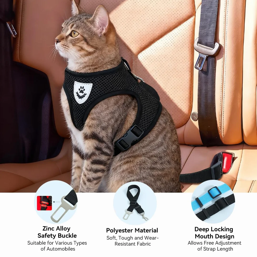 Harnais pour Chat 3 en 1 avec Laisse et Ceinture de Sécurité, Ajustable 42-56cm, pour Petit Chat 4-6kg